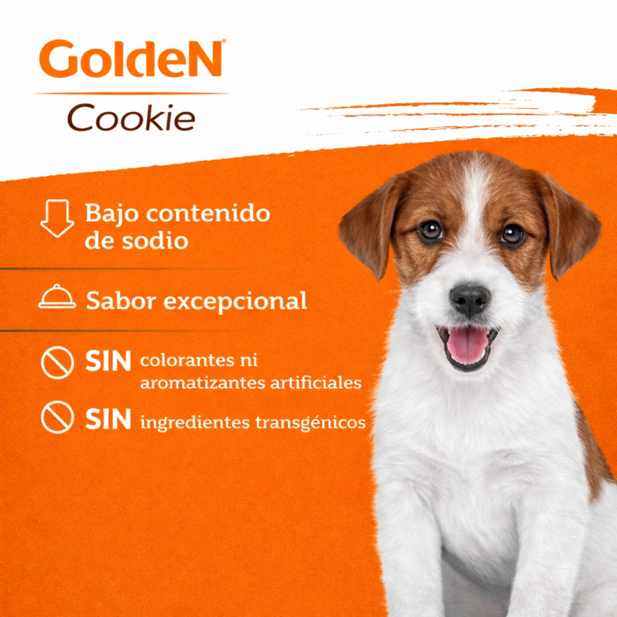 2 Pack Golden Galletas Cachorros Salmón y Quinoa 350g - Image 2
