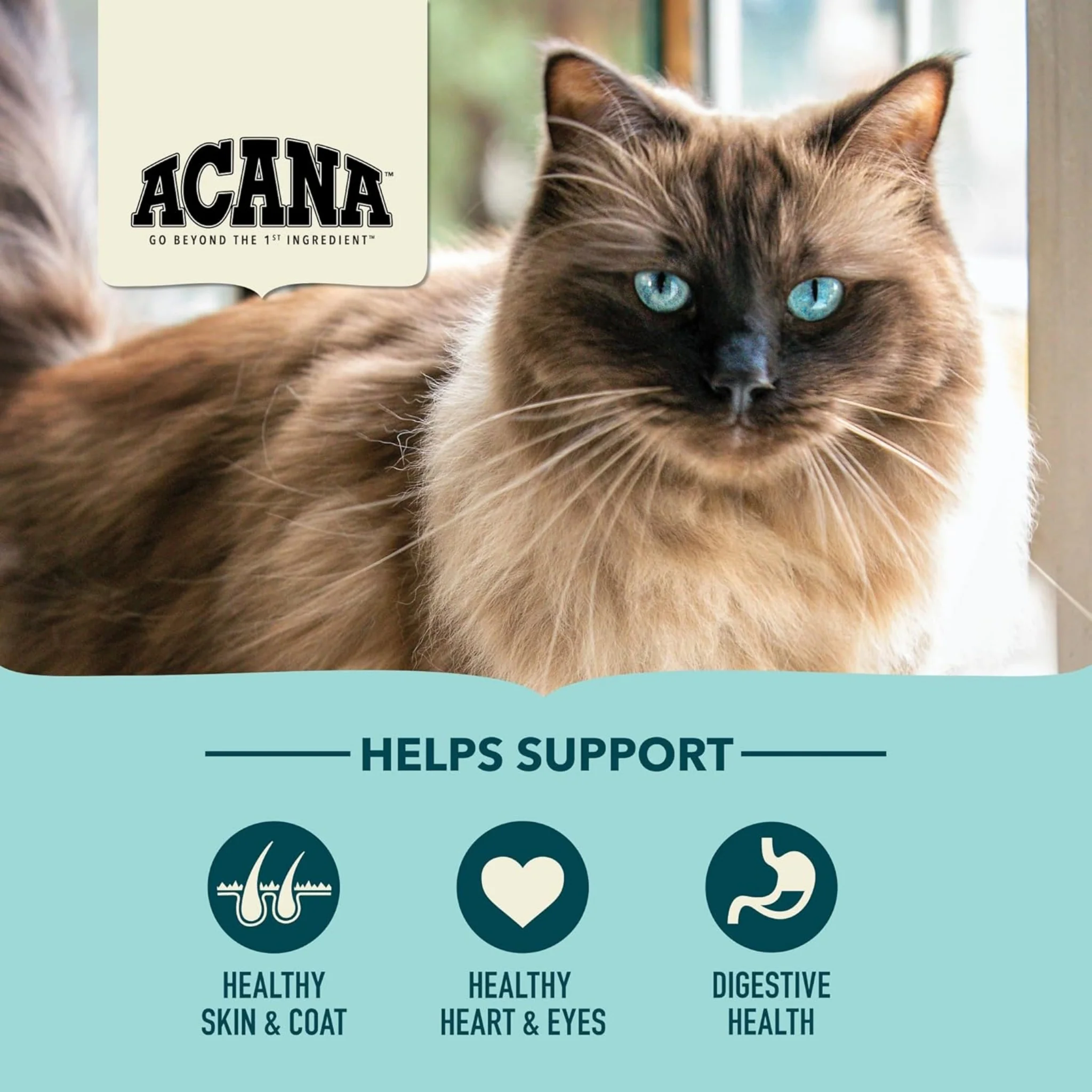 ACANA™ Bountiful Catch – Receta de Pescado para Gatos Adultos - Image 4