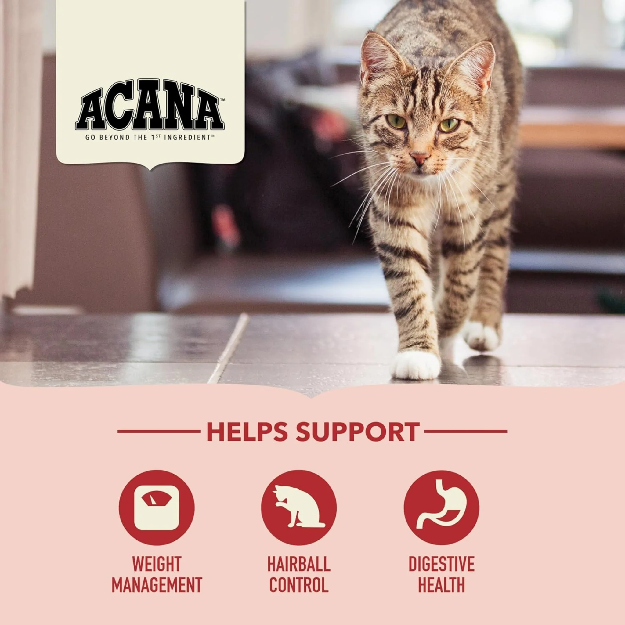 ACANA™ Indoor Entrée – Gatos de Interior | Pescado - Image 4