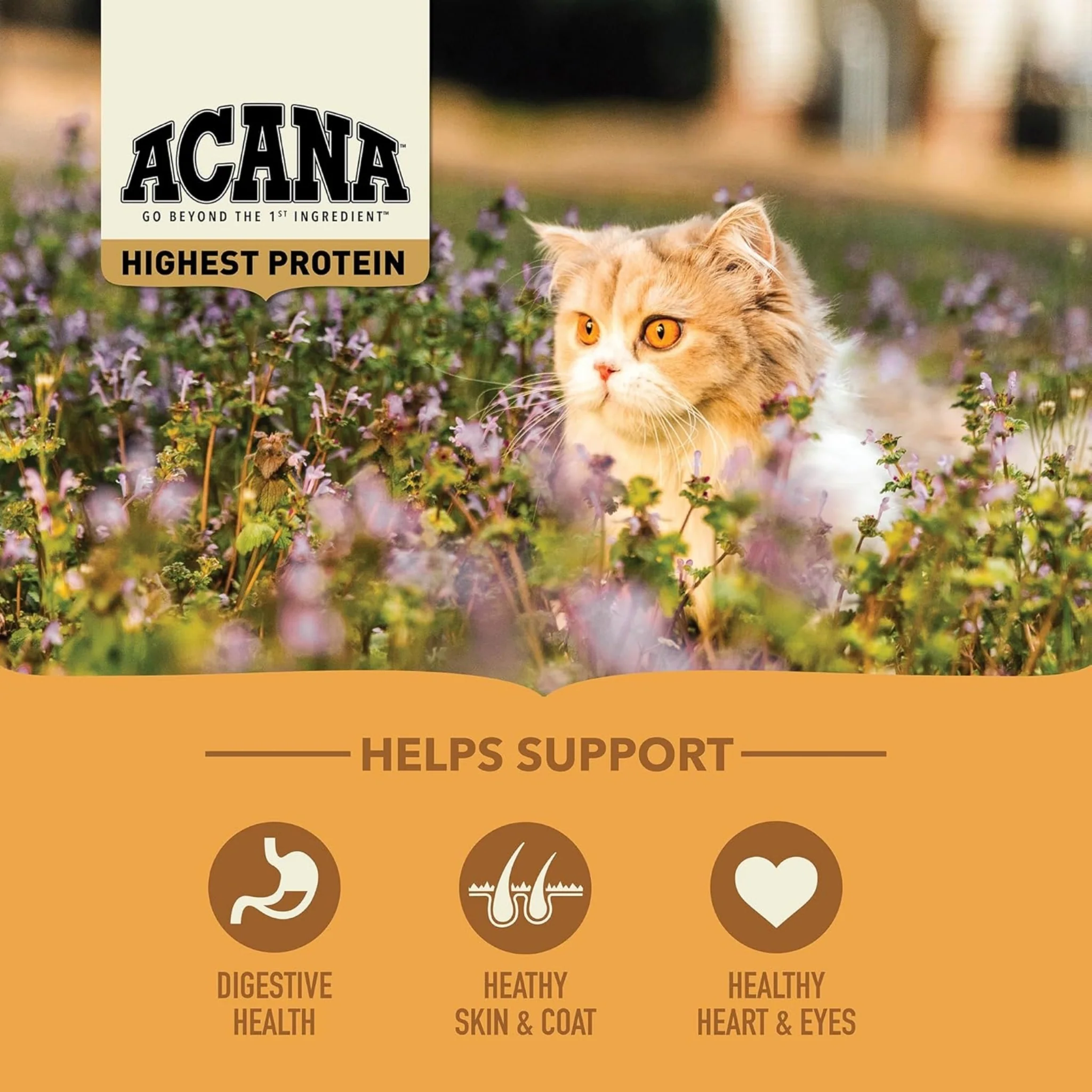 ACANA™ Meadowlands para Gatos – Alta Proteína de Origen Animal - Image 3