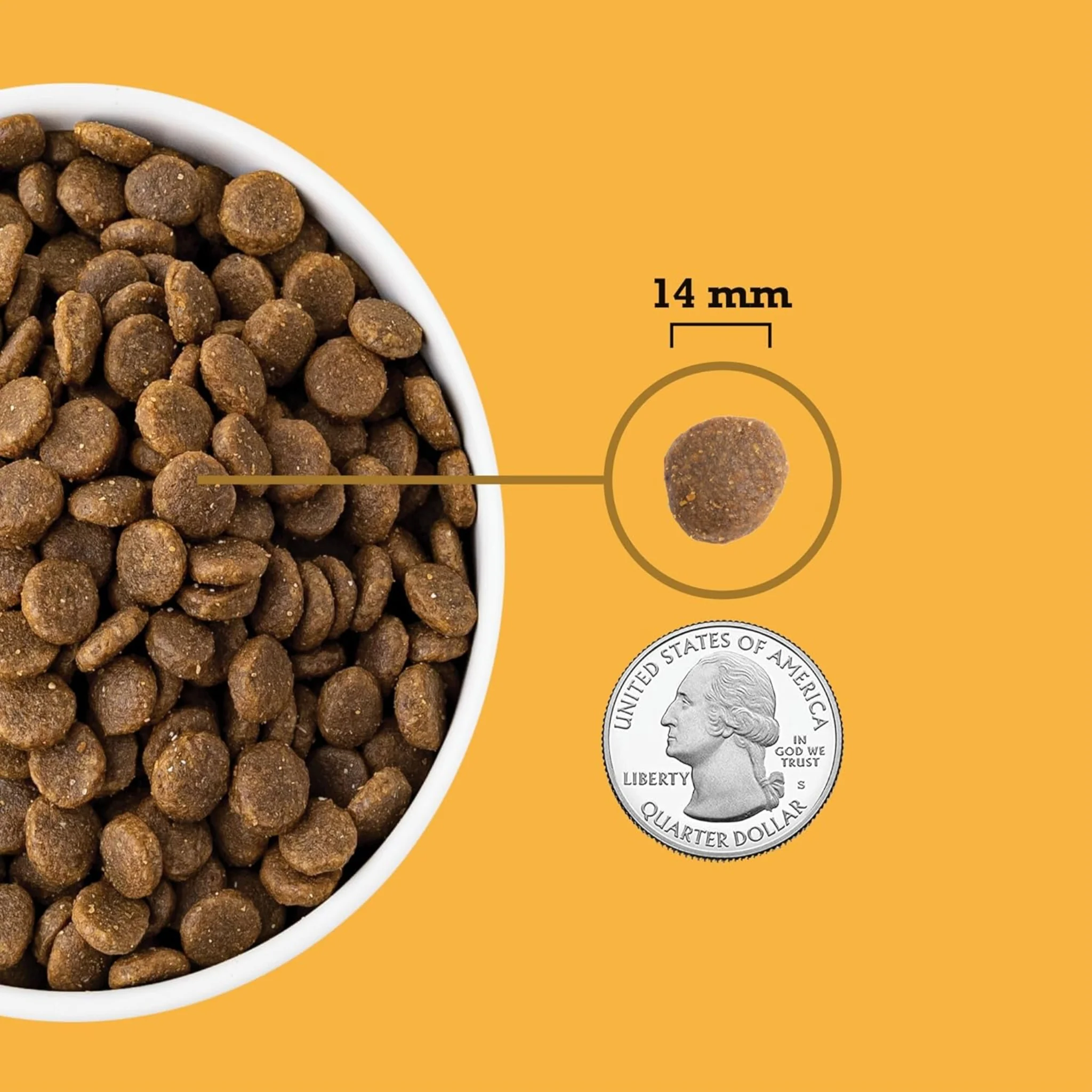 ACANA Free-Run Poultry Recipe – El mejor alimento del mundo para perros adultos sin cereales - Image 3