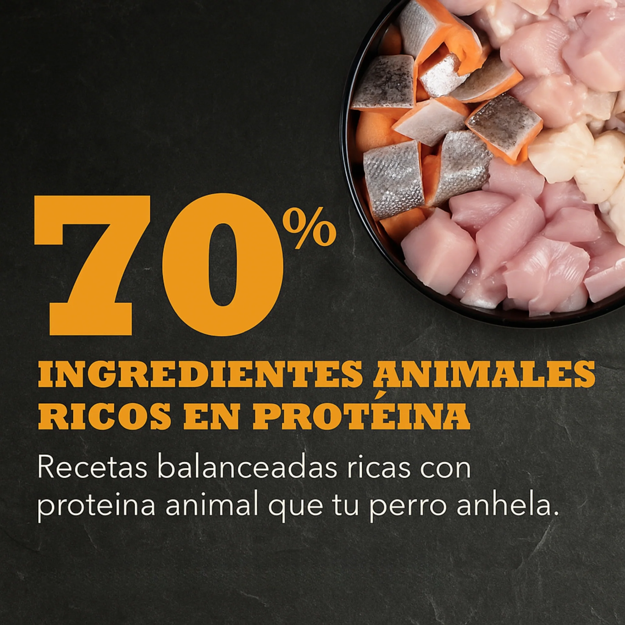 ACANA Meadowland Highest Protein – Alimento Seco Premium para Perros de Todas las Razas - Image 3