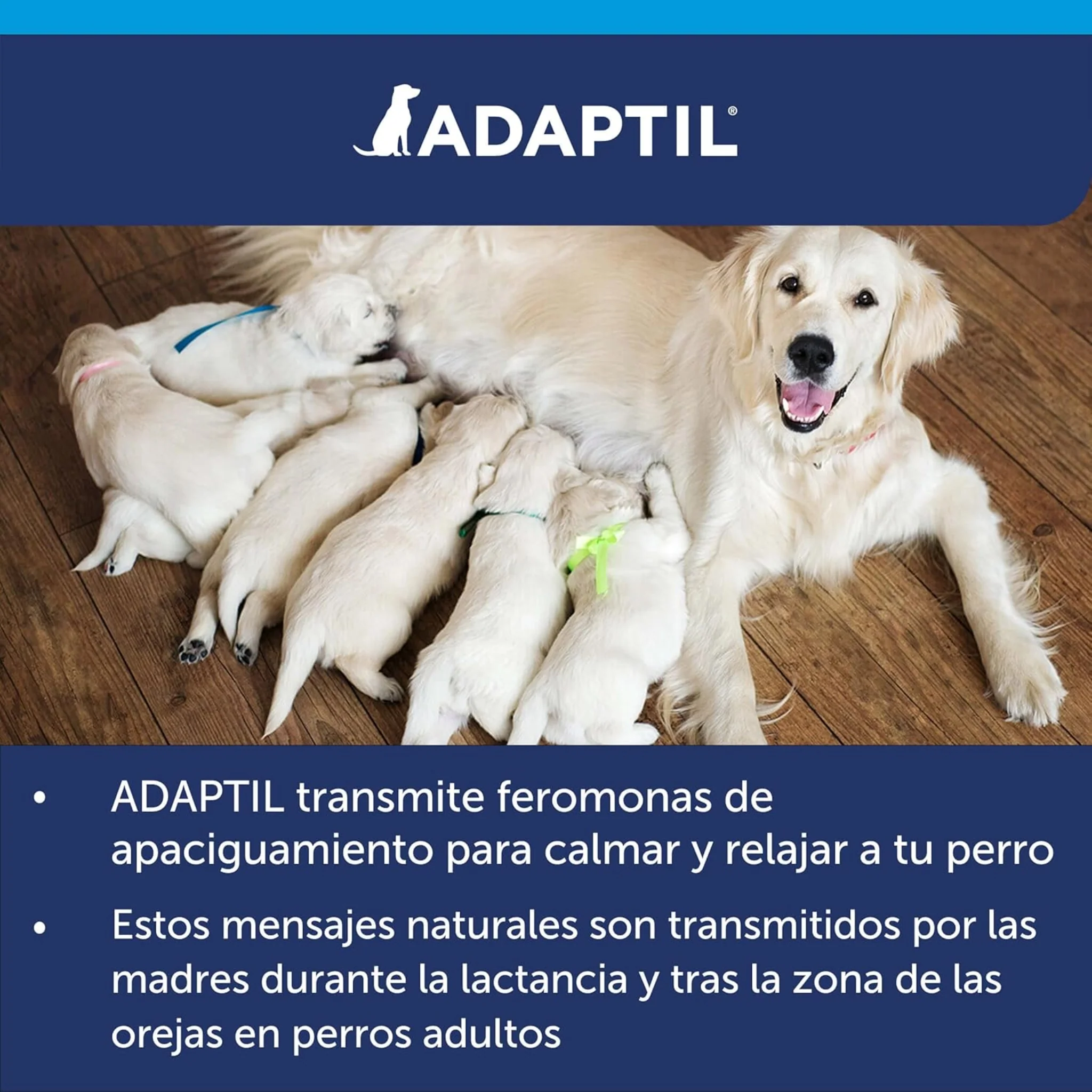 Adaptil Calm Difusor Feromonas – Bienestar emocional para tu perro en casa - Image 6