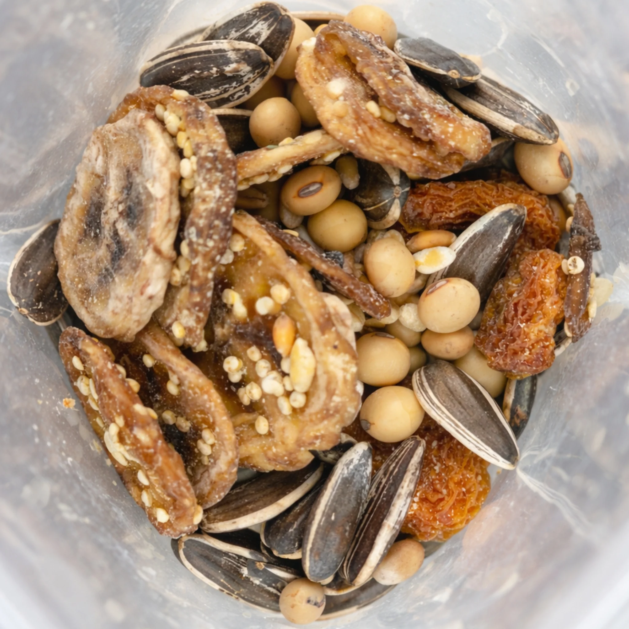 Alimento Premium para Hamster, Gerbo y Rata Wild Boost - Mix Banana Golden Berry - Image 3
