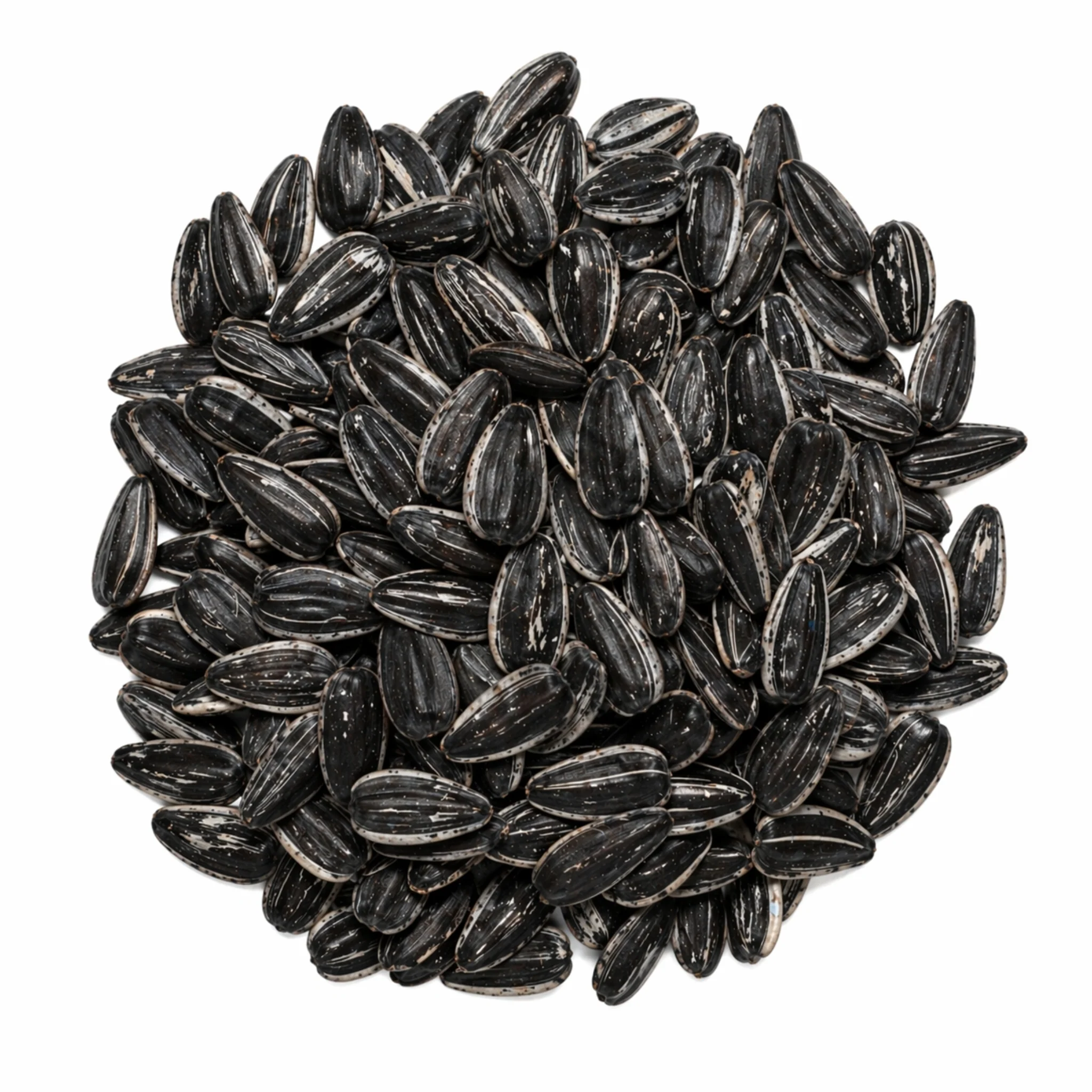 Wild Boost Semilla de Girasol 110 g – Snack Natural para Aves y Hámsters - Image 3