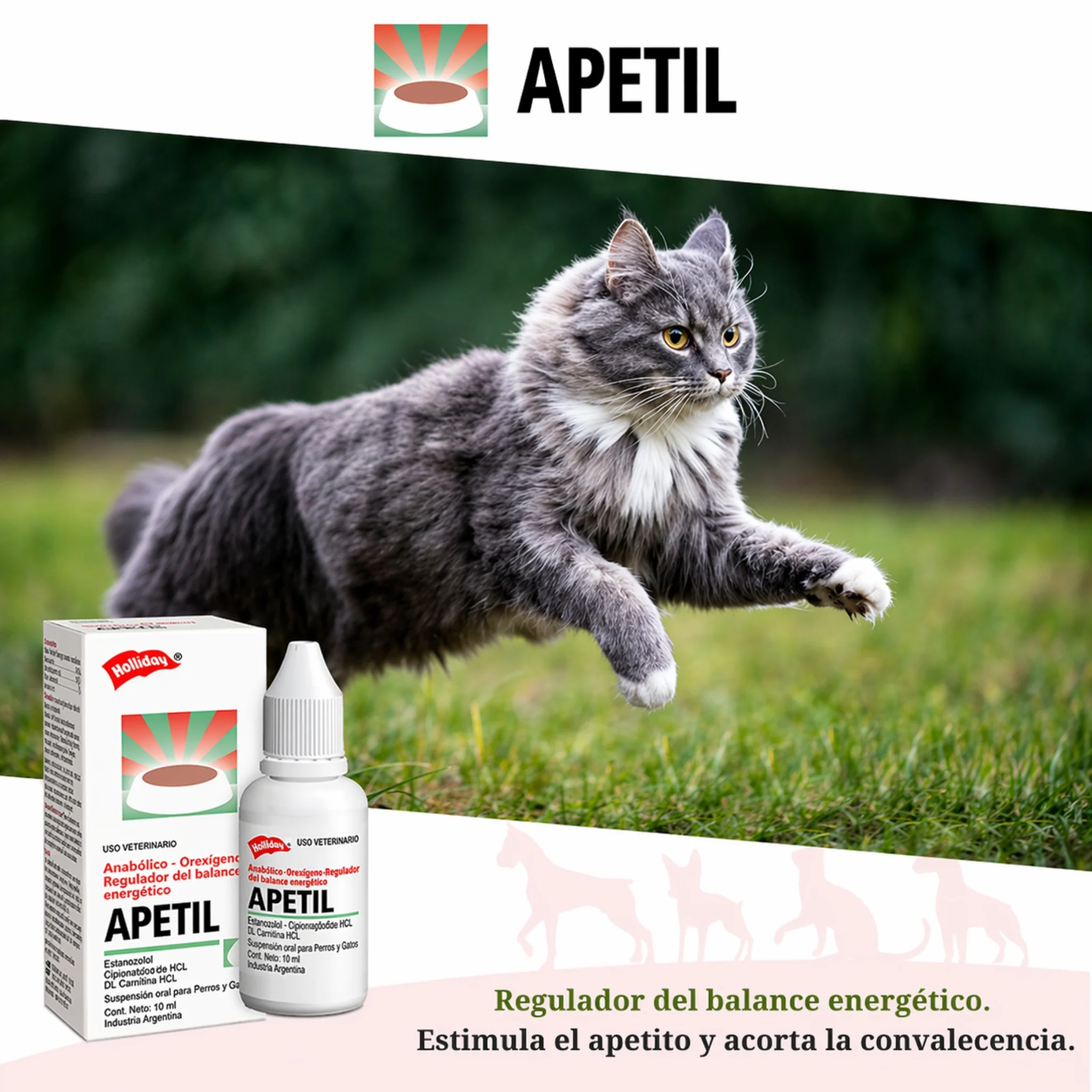 Apetil Gotas 10 ml – Estimulante del Apetito para Perros y Gatos - Image 3