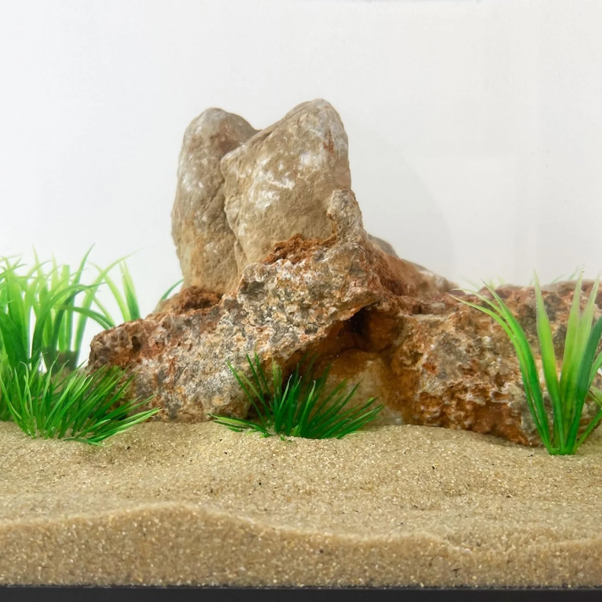 Arena Premium para Acuario – Varios Colores Disponibles 1kg - Image 3