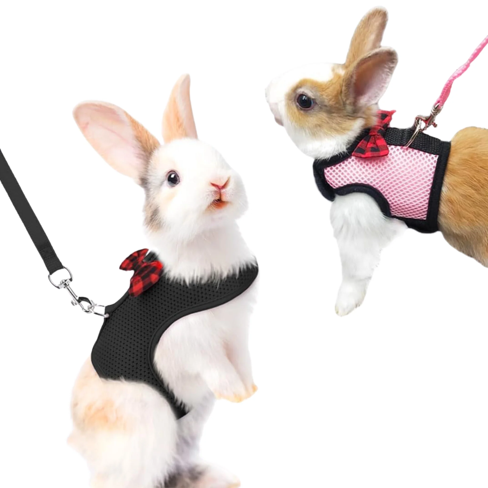 Arnés Chaleco para Conejo y Mascotas Pequeñas – Tallas S/M/L - Image 3