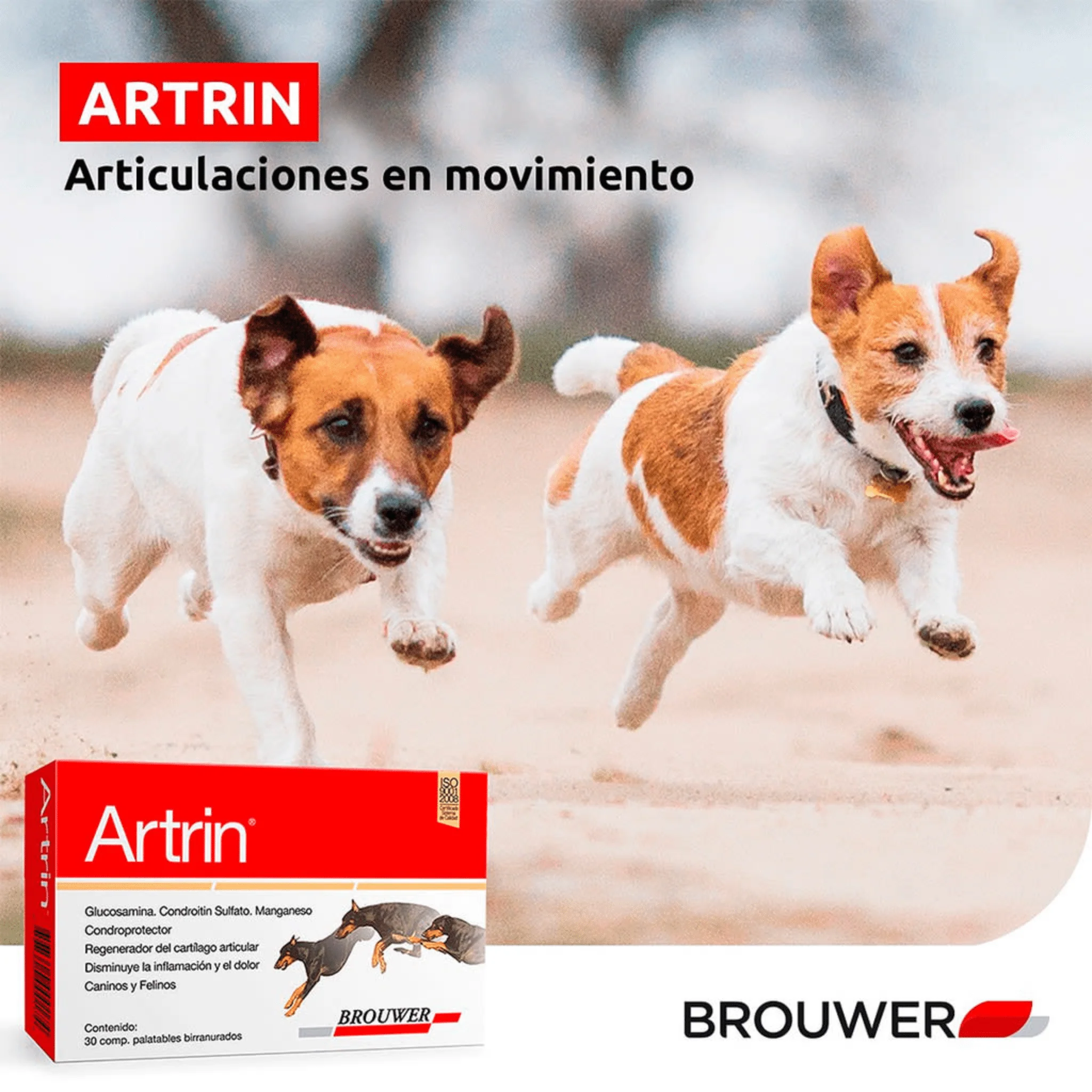 Artrin 30 Tabletas - Condroprotector para Perros y Gatos - Image 2