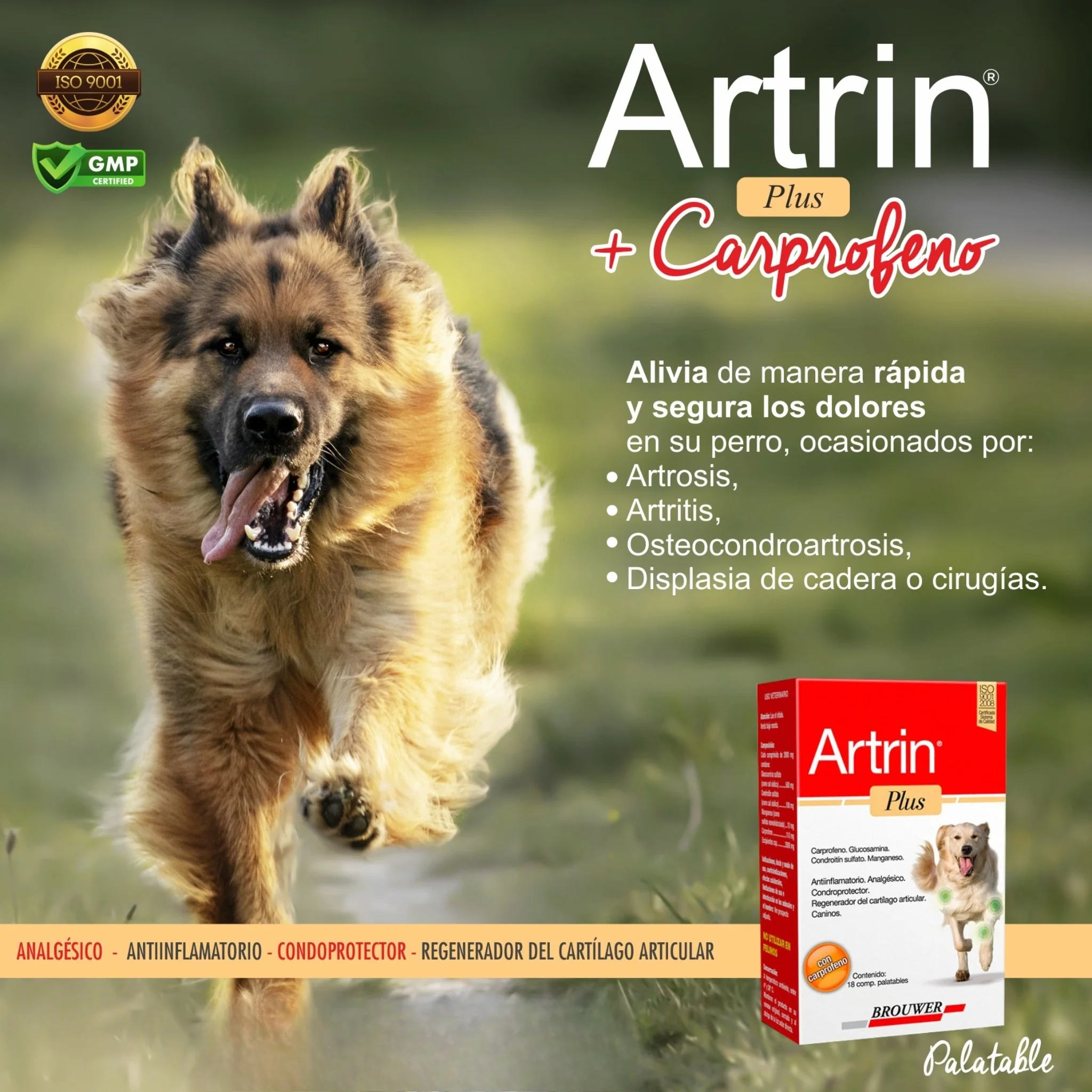 Artrin Plus 18 tabs - Condroprotector y Antiinflamatorio para Perros - Image 4