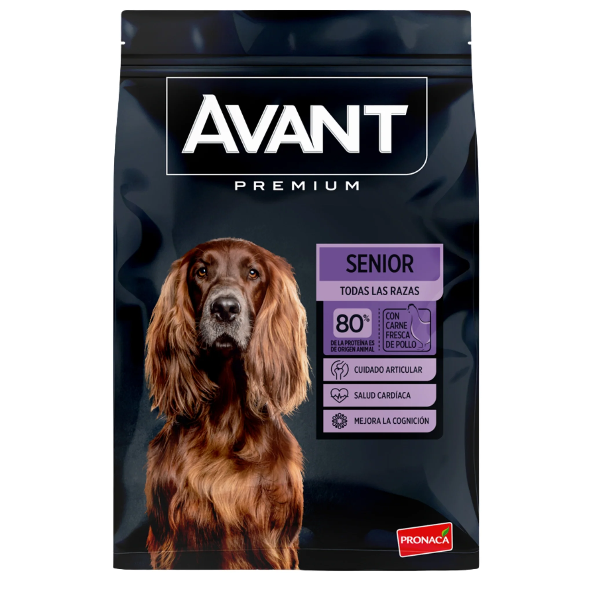 Avant Adulto Senior