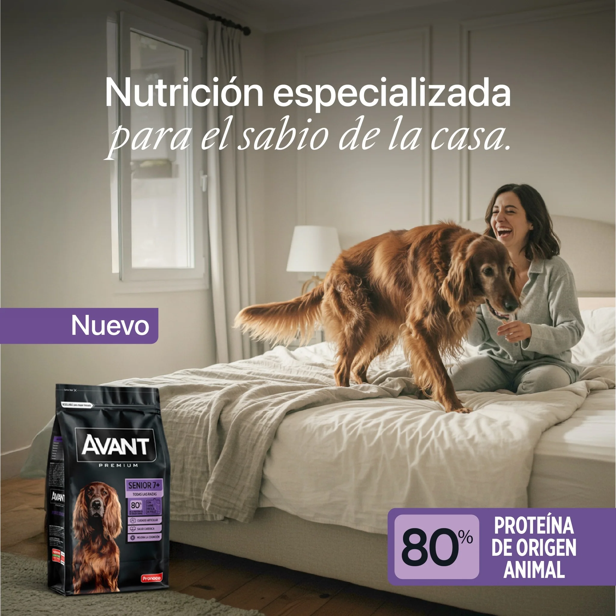 Avant Adulto Senior - Image 2