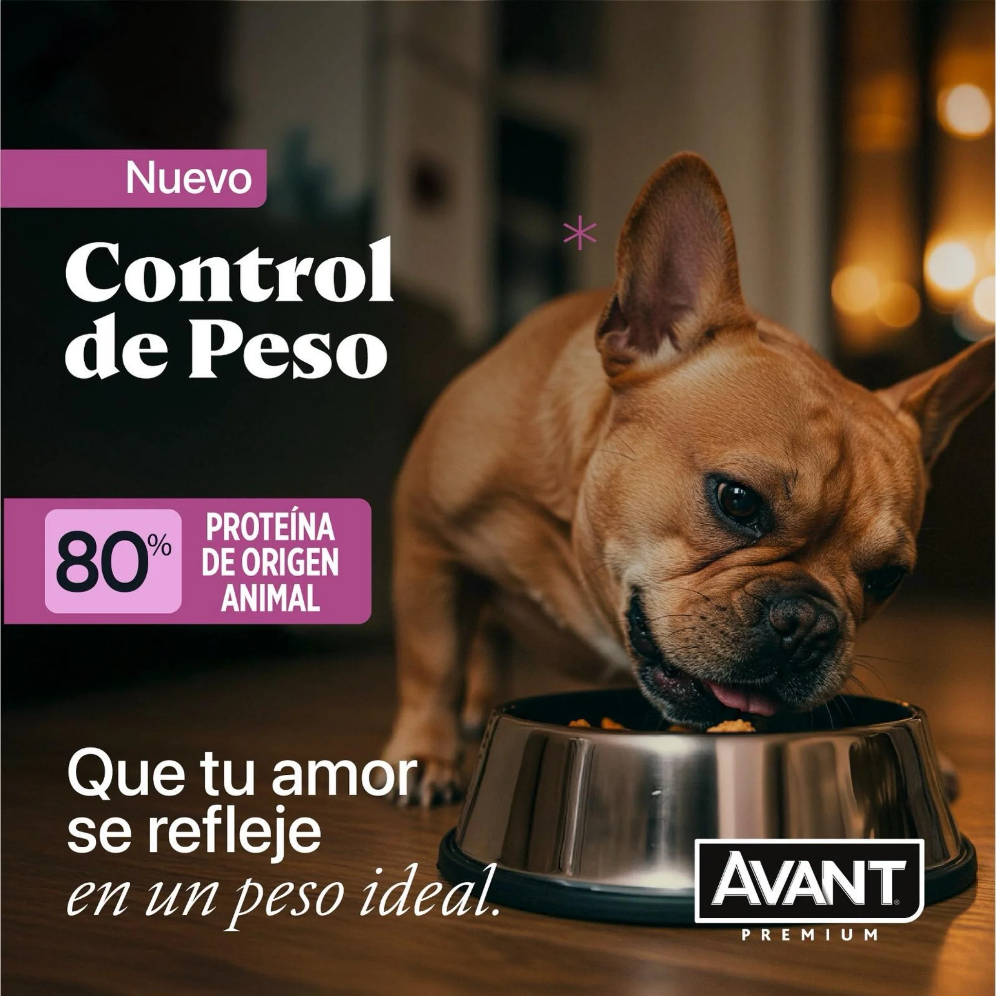 Avant Adultos Control de Peso - Image 3