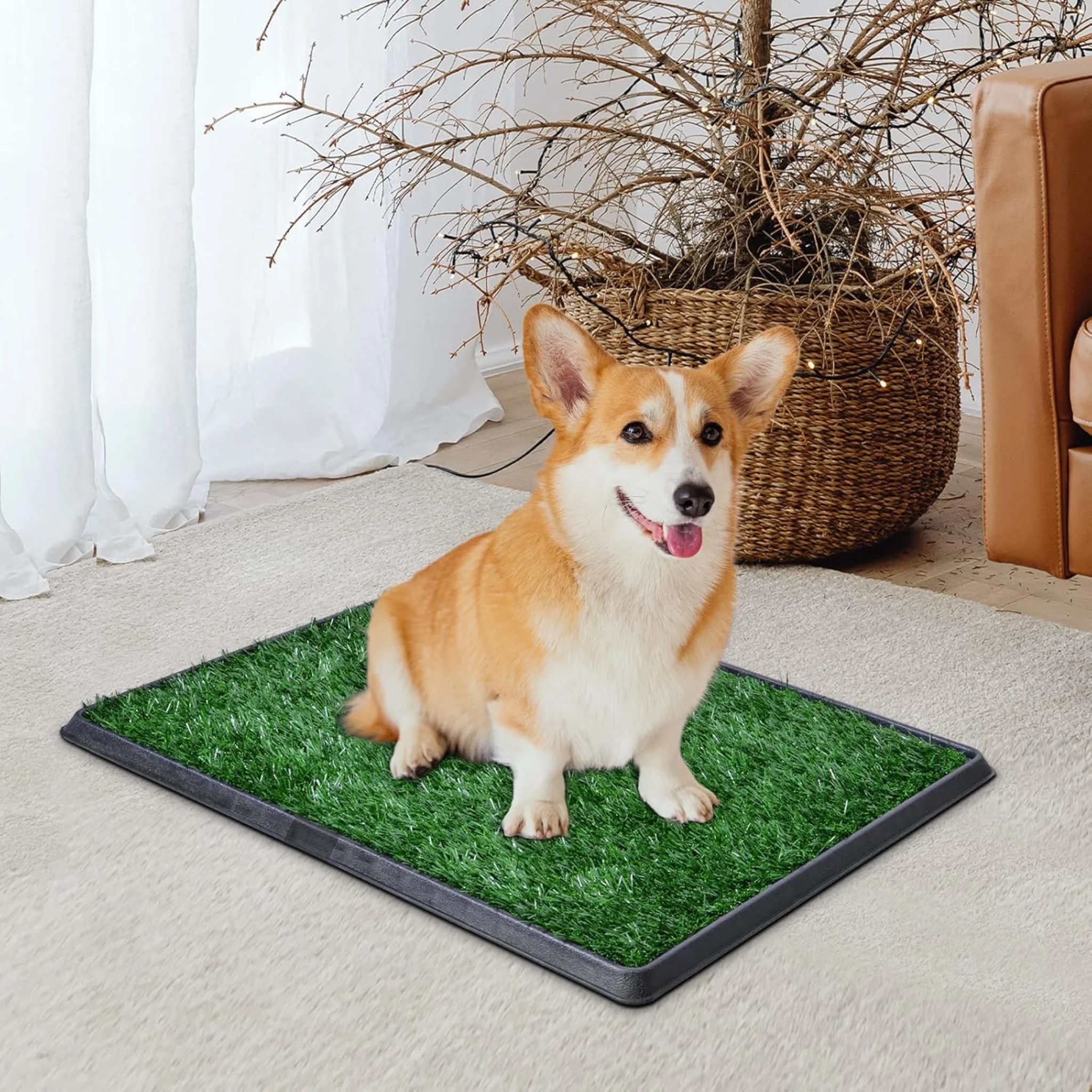 Baño para Perros con Césped Artificial | Ideal para Interiores y Entrenamiento - Image 3