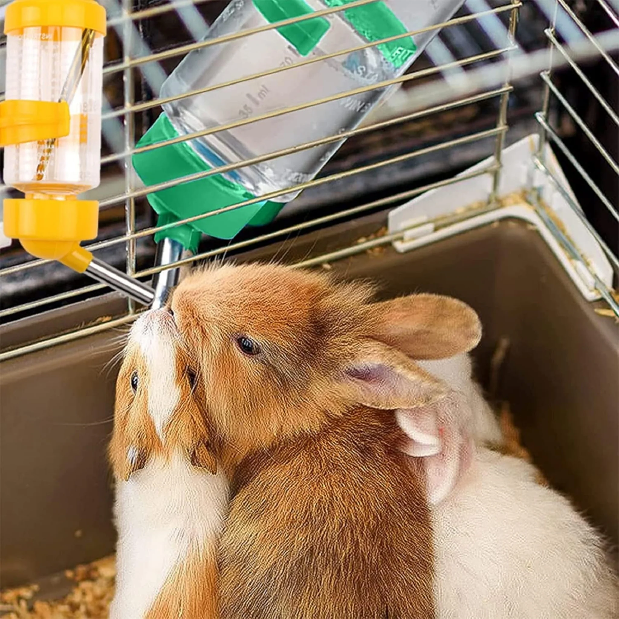 Bebedero Antigoteo para Pequeños Animales – Varias Capacidades - Image 5