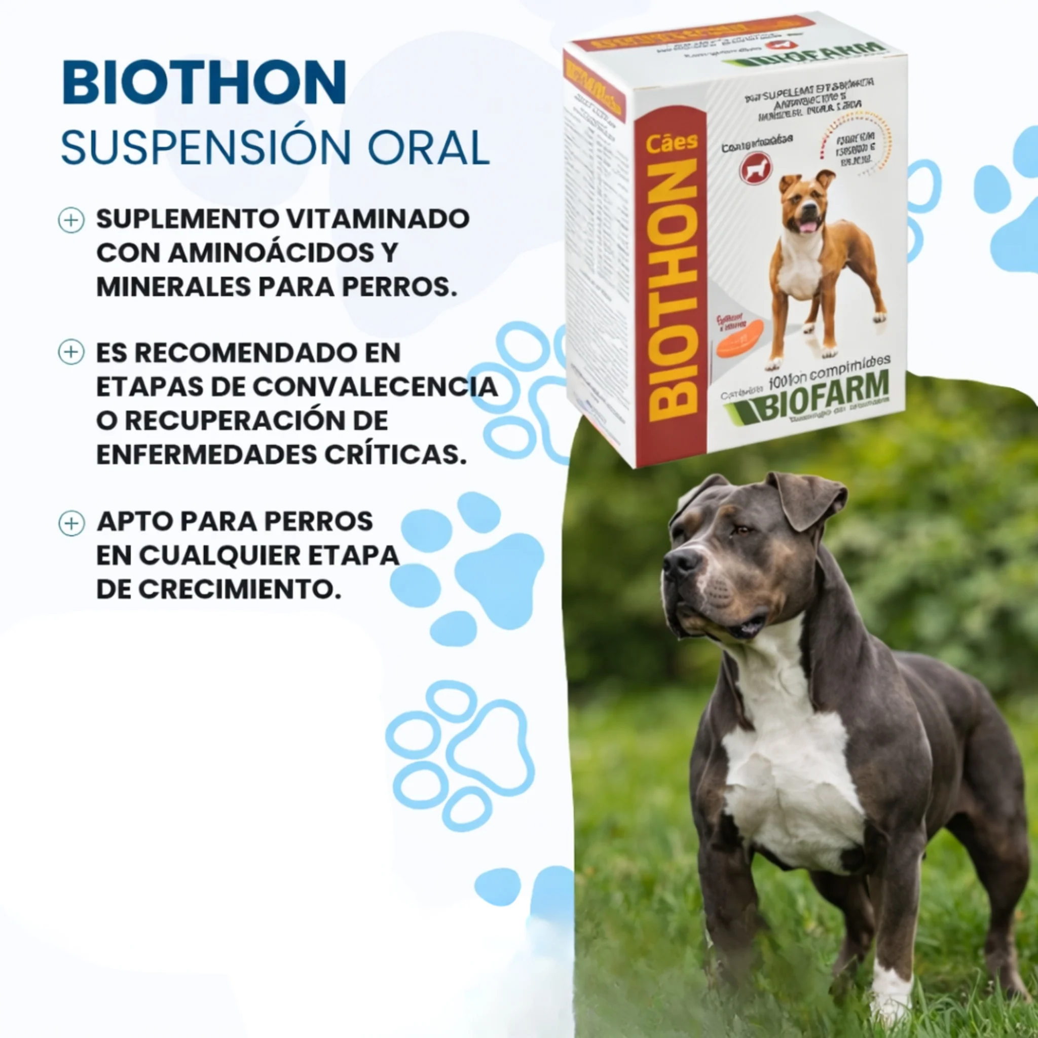 Biothon® Perros 100tbs – Suplemento Multivitamínico y Reconstituyente - Image 3