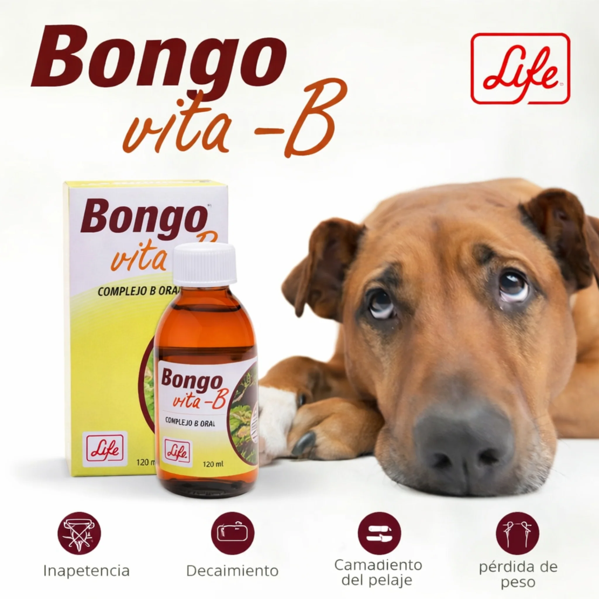 Bongo Vita-B® – Complejo de Vitaminas B para Perros y Gatos - Image 2