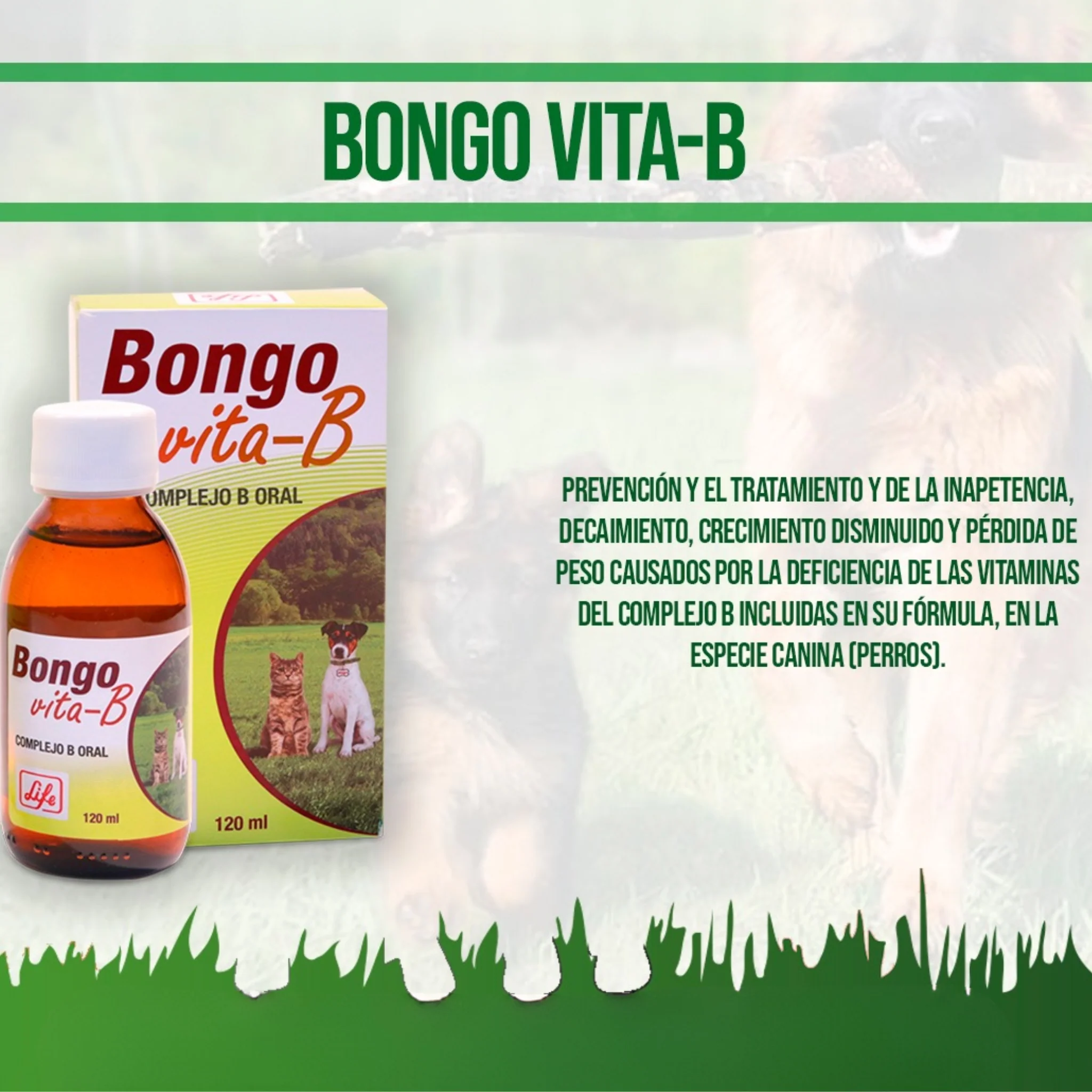 Bongo Vita-B® – Complejo de Vitaminas B para Perros y Gatos - Image 3