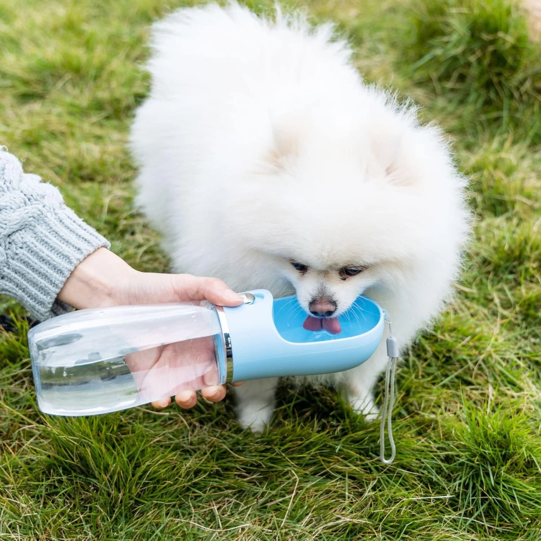 Bebedero Portátil para Perros – 500 ml - Image 3