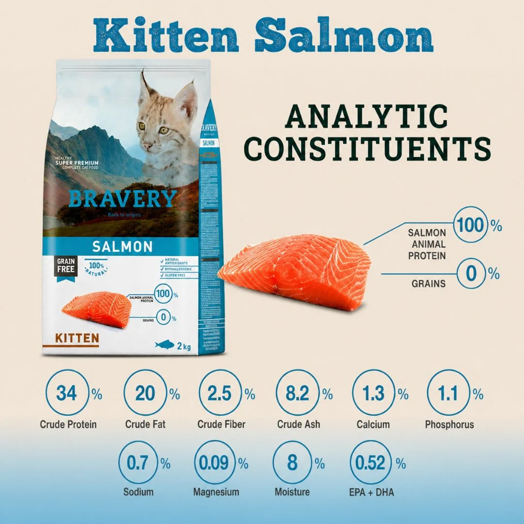 BRAVERY Salmón Kitten 2kg - Image 3