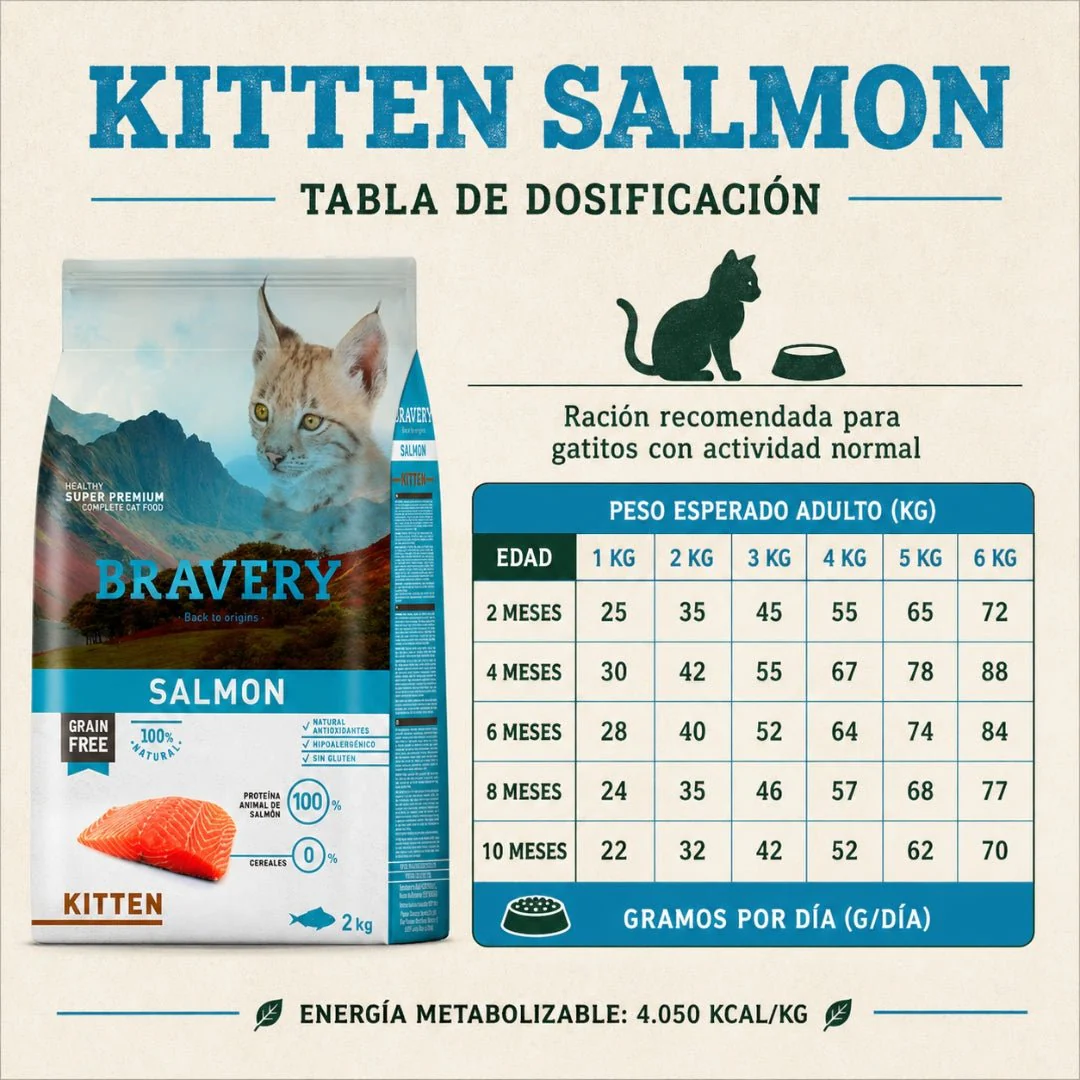 BRAVERY Salmón Kitten 2kg - Image 4