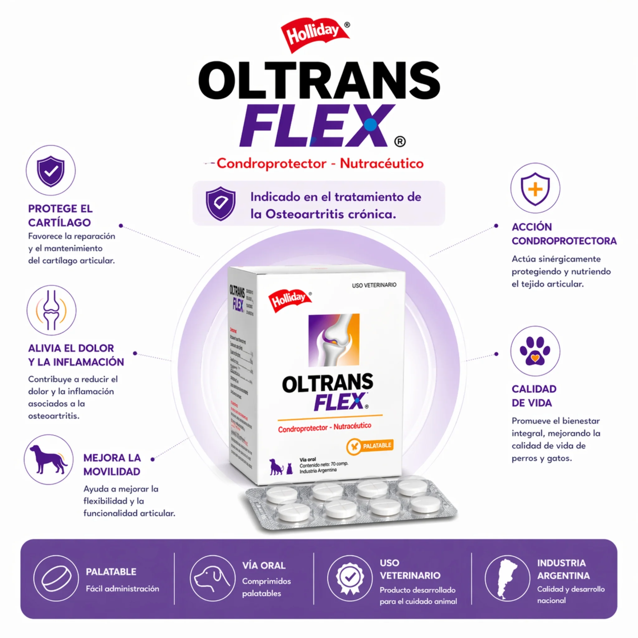 Ol Trans Flex® – Condroprotector y Reparador Articular para Perros - Image 3