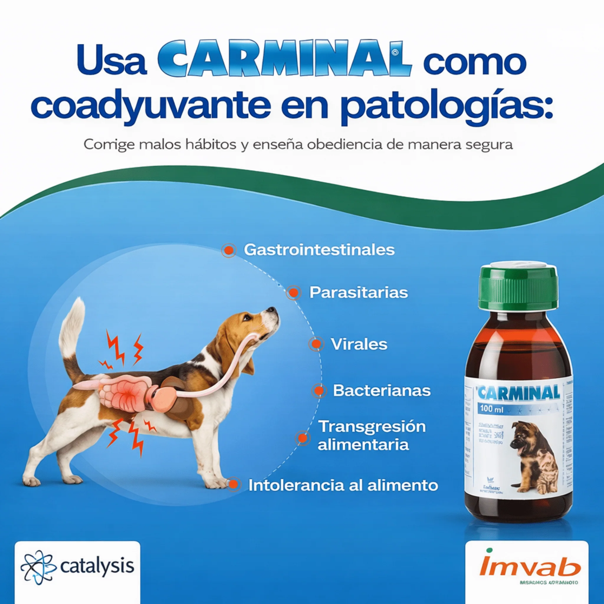 Carminal Pets-Protector Gástrico para Perros y Gatos - Image 3