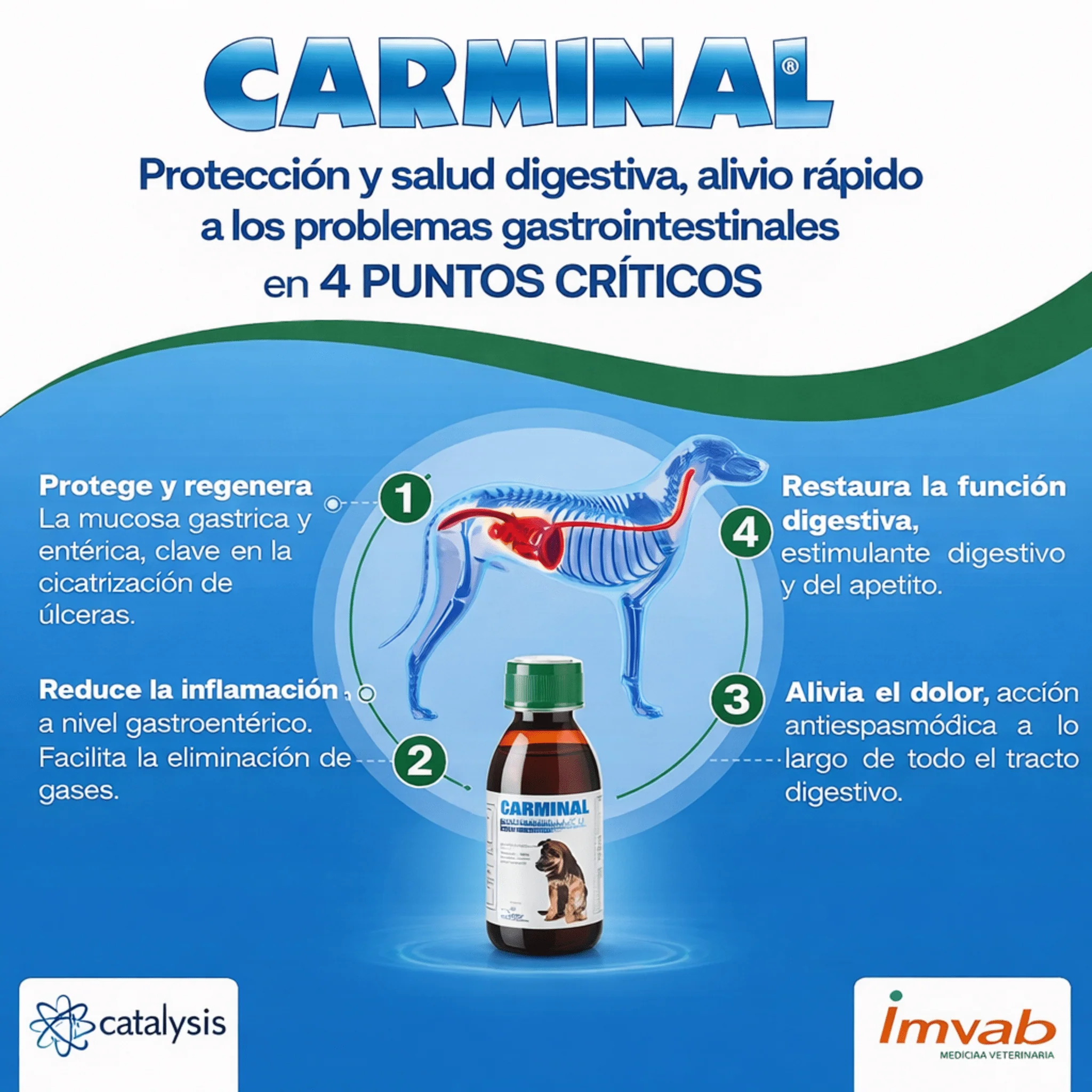 Carminal Pets-Protector Gástrico para Perros y Gatos - Image 4
