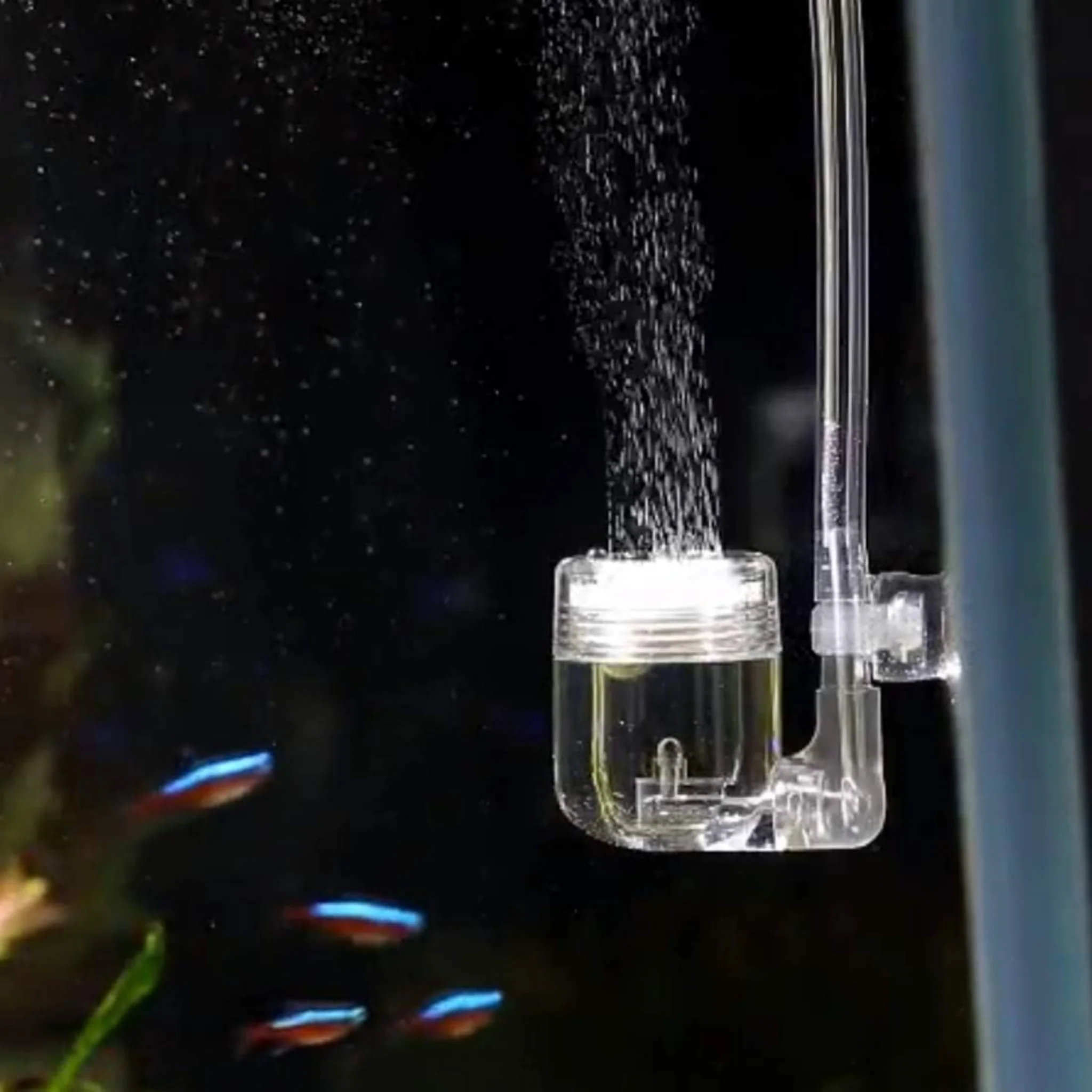 Difusor de CO2 4 en 1 para Acuario Plantado – Atomizador con Ventosa Antirretorno - Image 4