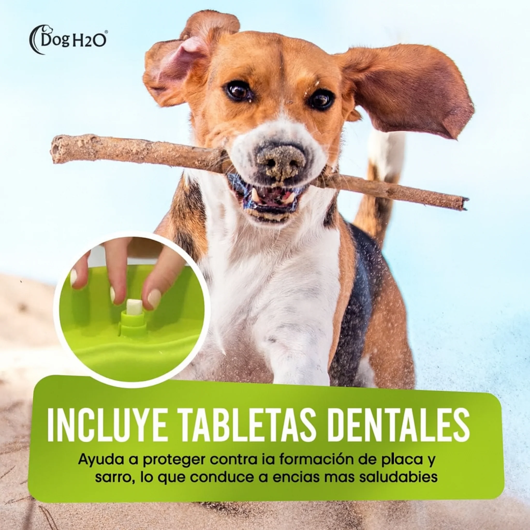 Dog H2O – Fuente de Agua Automática para Perros Grandes | 6 Litros - Image 3