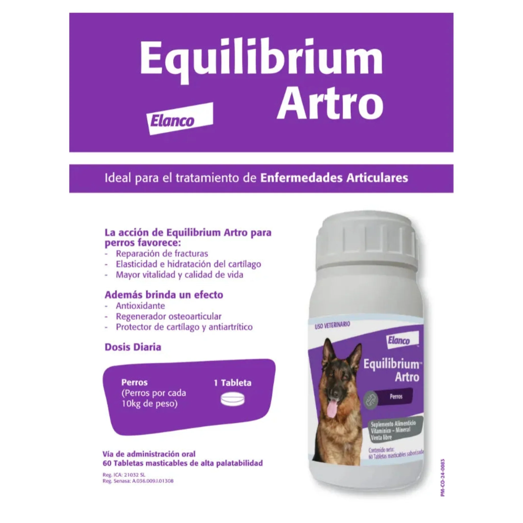 Equilibrium Artro – Suplemento Articular para Perros Senior - Image 3