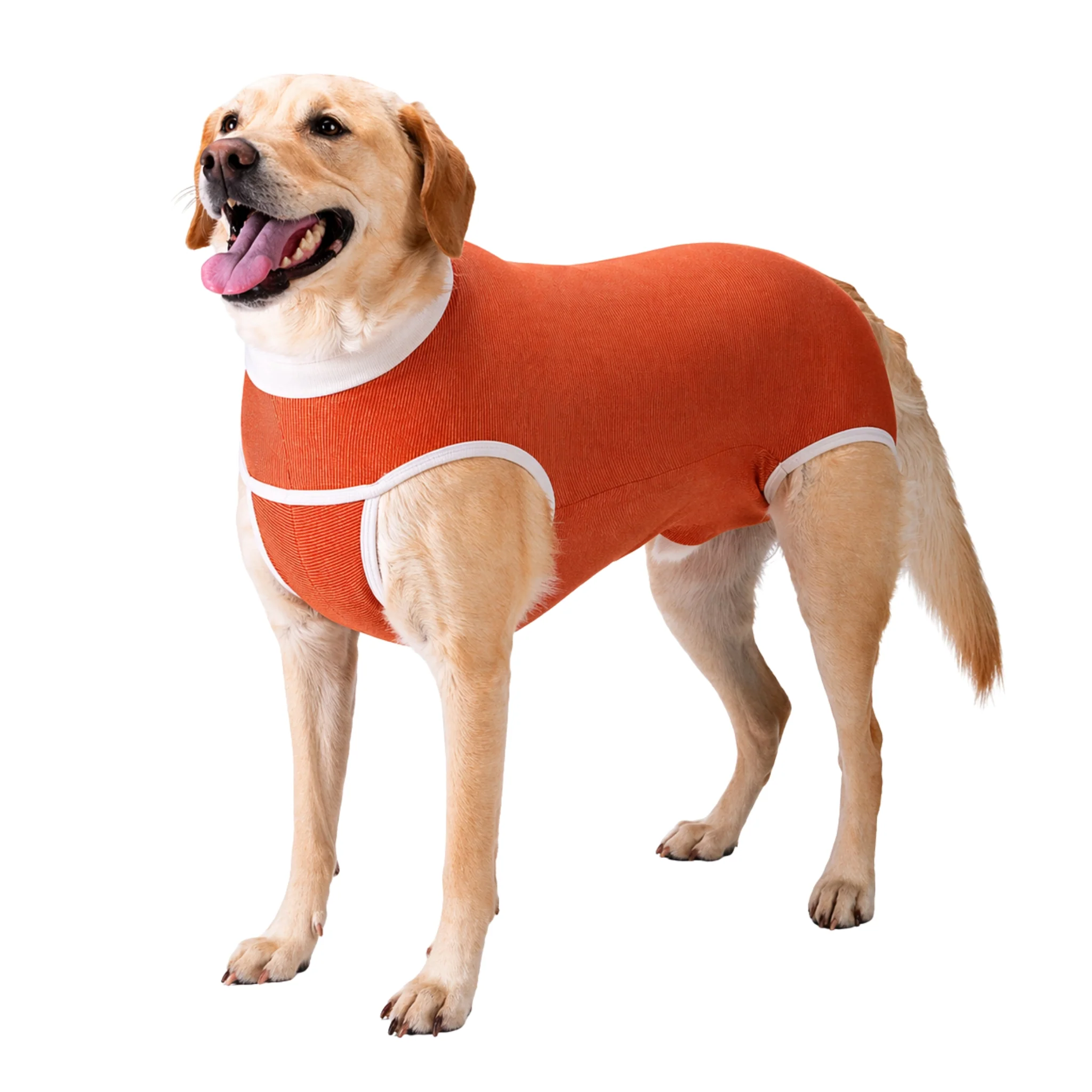 Faja Postquirúrgica para Mascotas – Body Antibacteriano con Cobre y Zinc