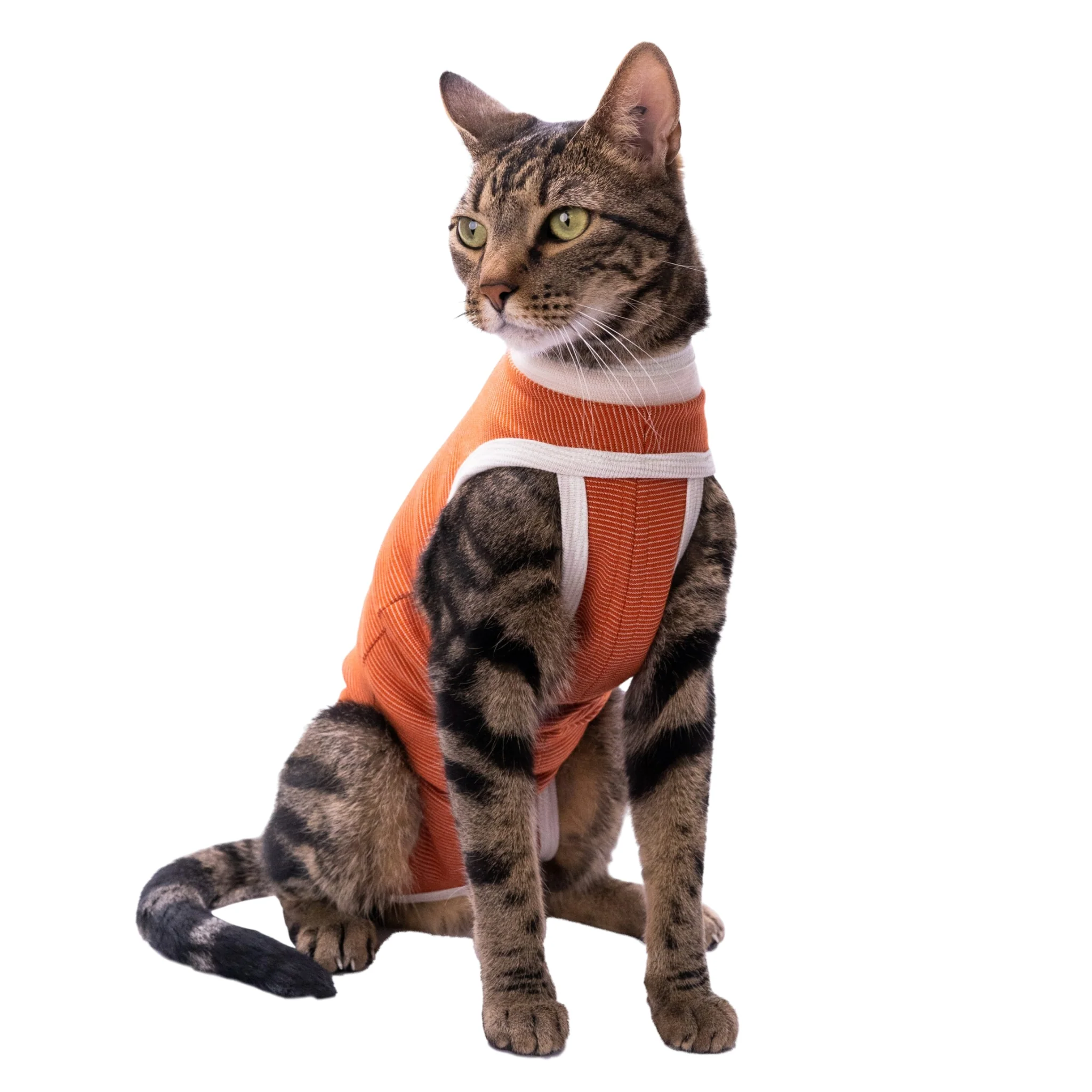 Faja Postquirúrgica para Mascotas – Body Antibacteriano con Cobre y Zinc - Image 2