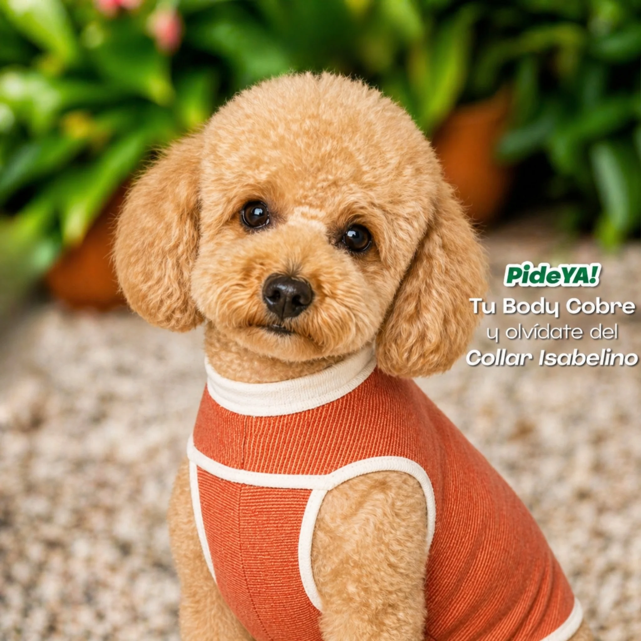 Faja Postquirúrgica para Mascotas – Body Antibacteriano con Cobre y Zinc - Image 7