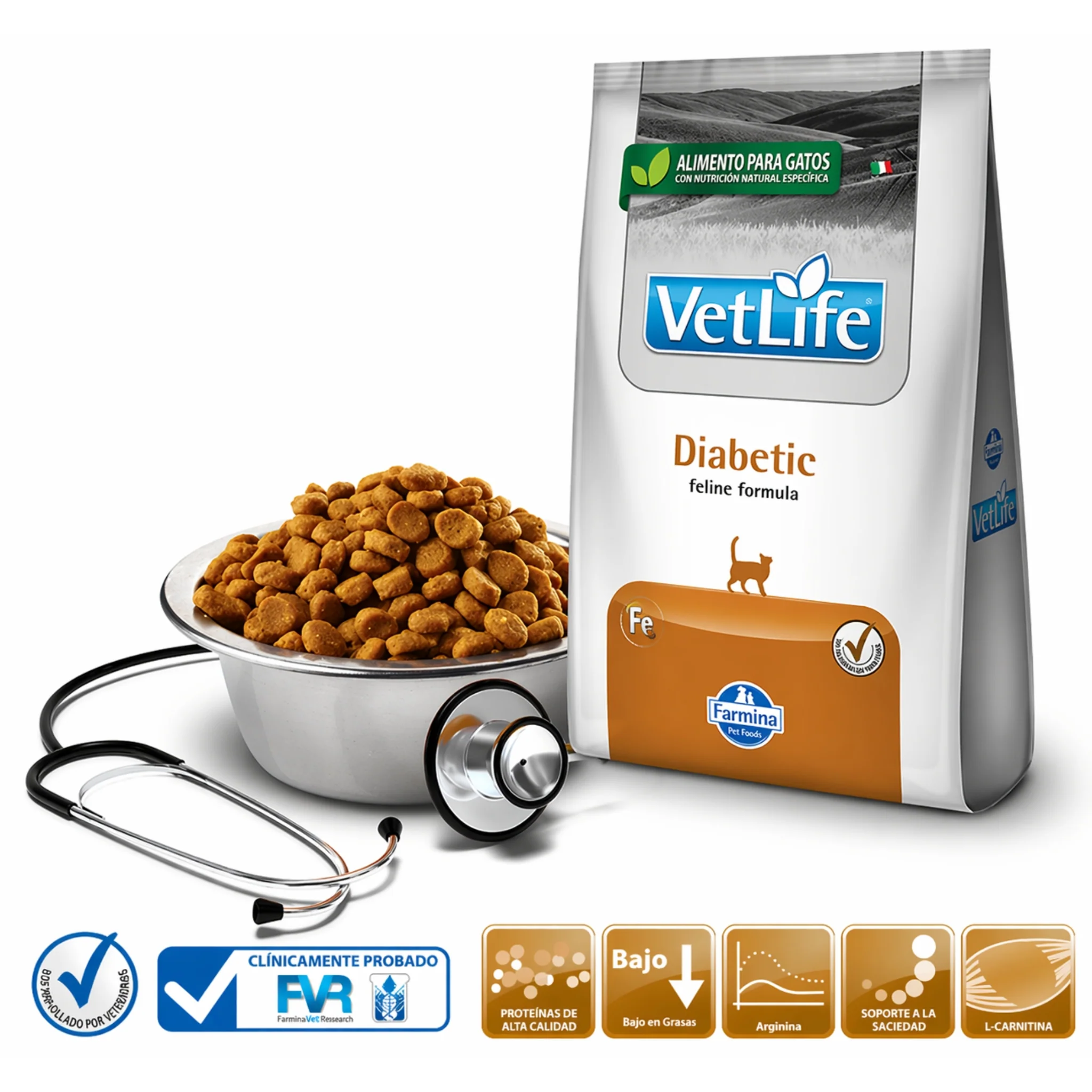 Comida Seca para Gatos | Nutrición Completa en Ecuador