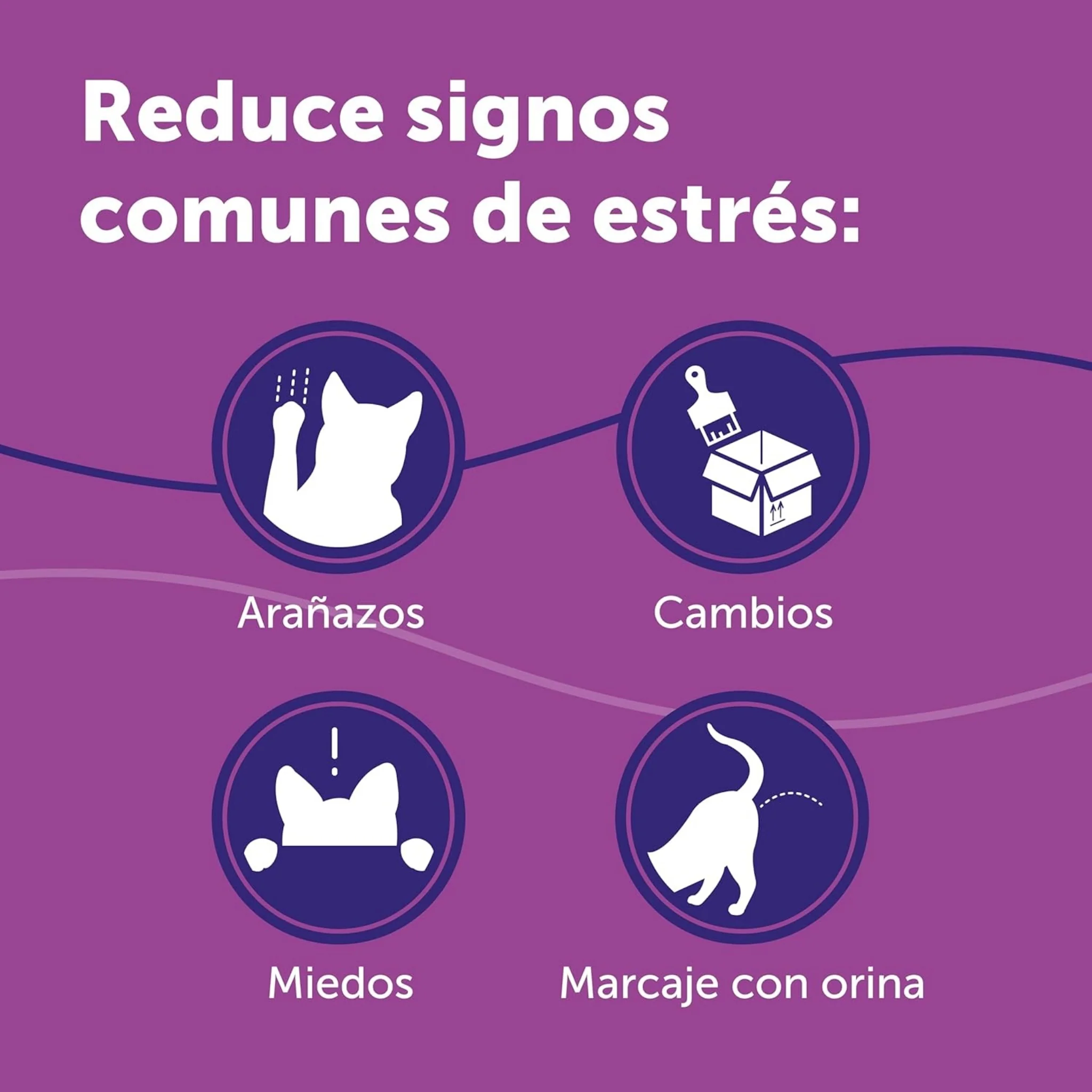 FELIWAY® Classic Difusor – Bienestar y Seguridad para tu Gato en Casa - Image 3