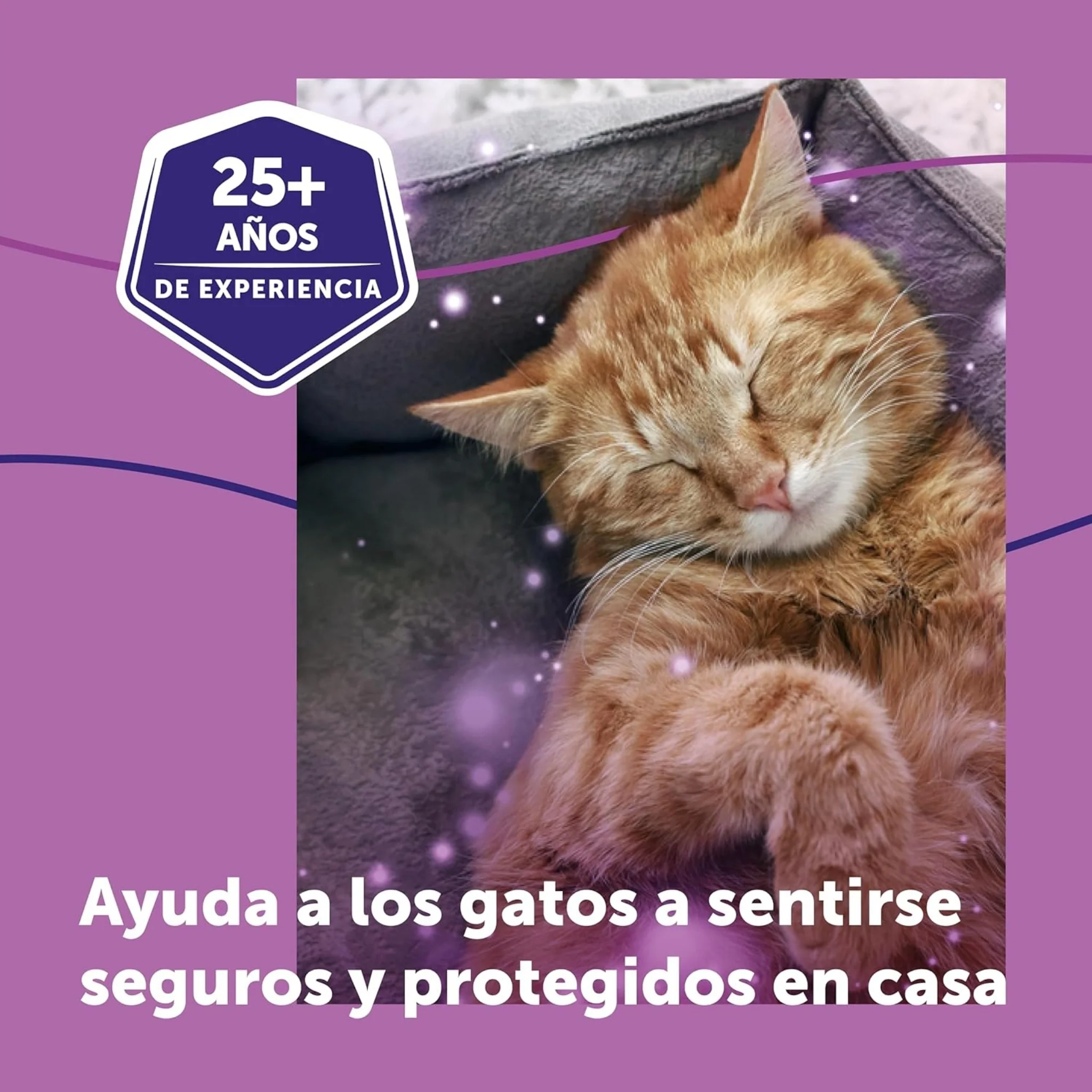 FELIWAY® Classic Difusor – Bienestar y Seguridad para tu Gato en Casa - Image 4