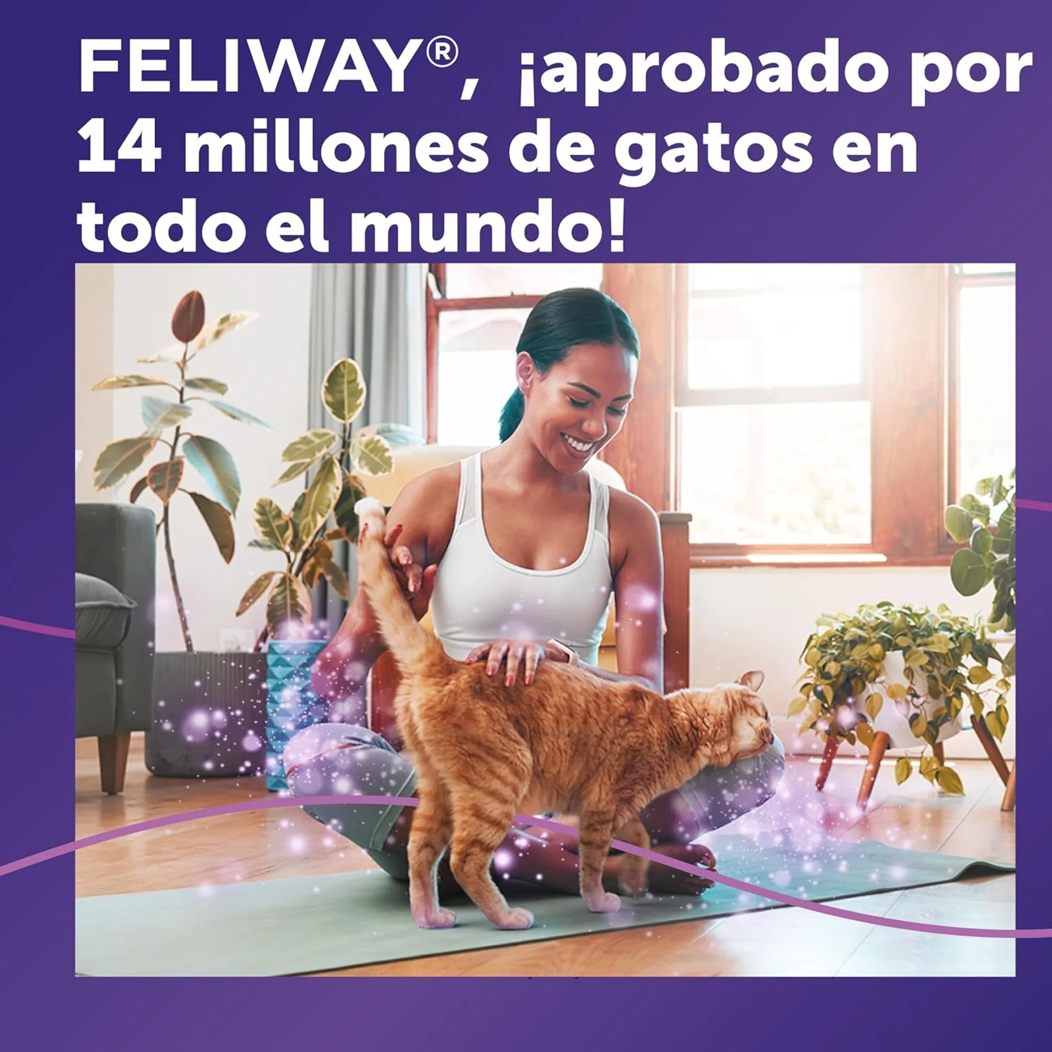 FELIWAY® Classic Spray – Control del Estrés y Comportamientos Inapropiados - Image 4