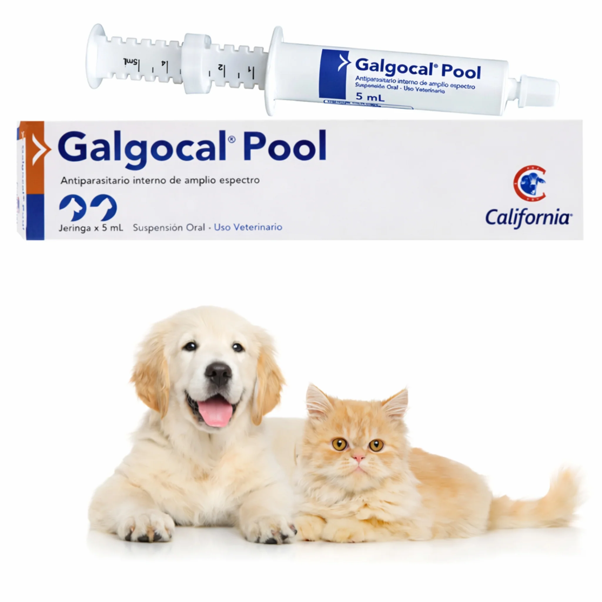 Galgocal Pool Suspensión Oral – Antiparasitario Interno para Perros y Gatos - Image 2