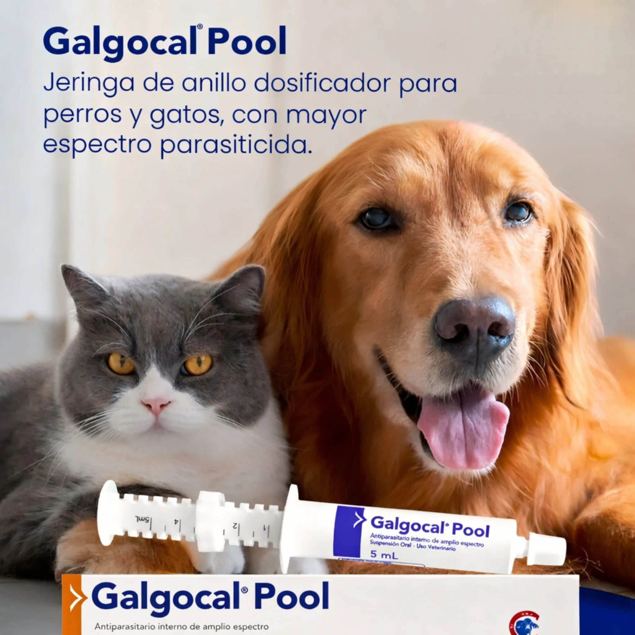 Galgocal Pool Suspensión Oral – Antiparasitario Interno para Perros y Gatos - Image 3