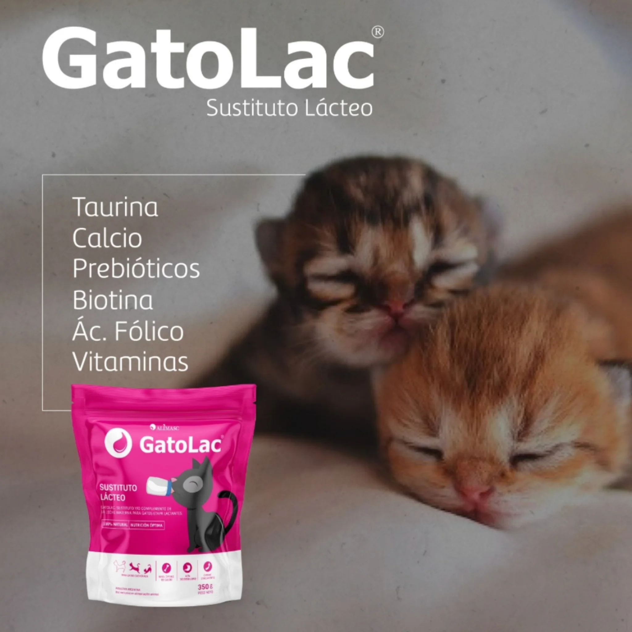 GatoLac – Leche en Polvo para Gatitos | Doypack 350 g con Dosificador - Image 2