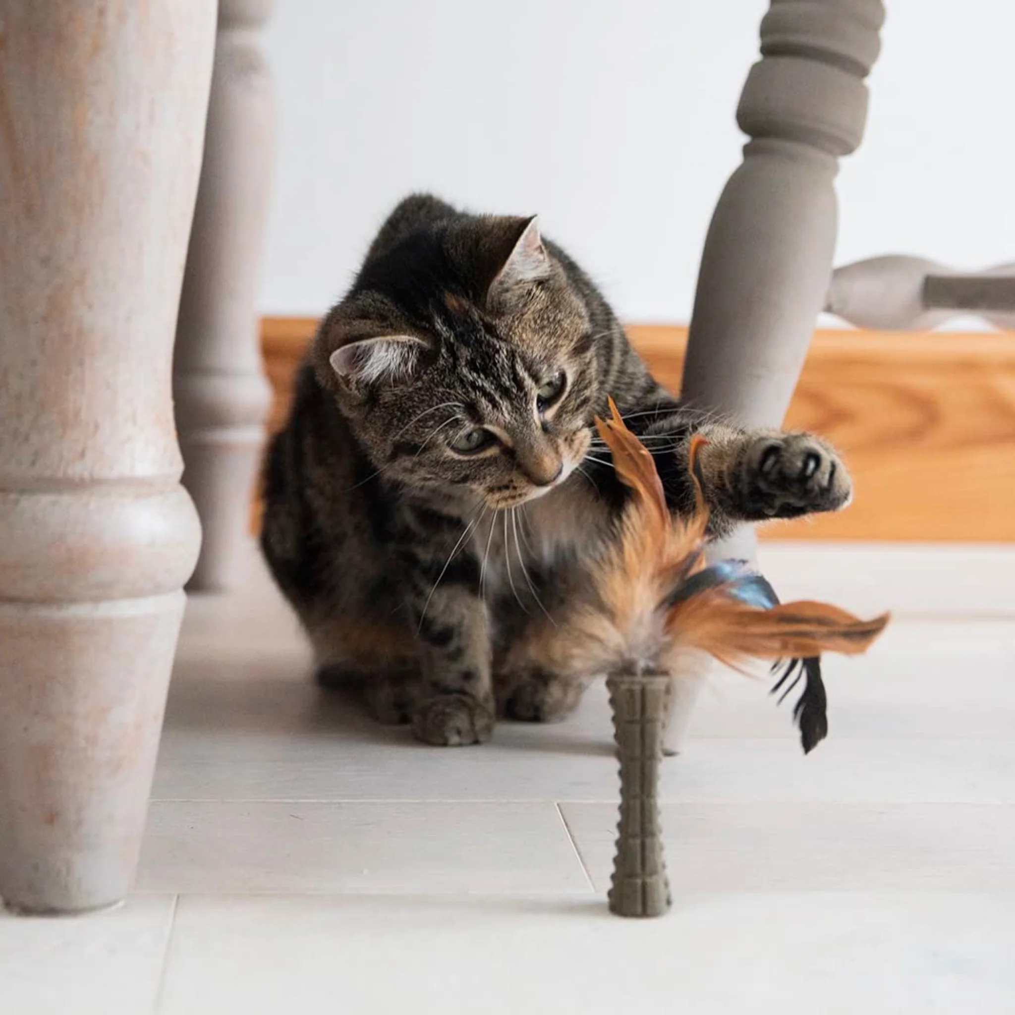 GiGwi Johnny Stick con Catnip - Juguete para Gatos - Image 4