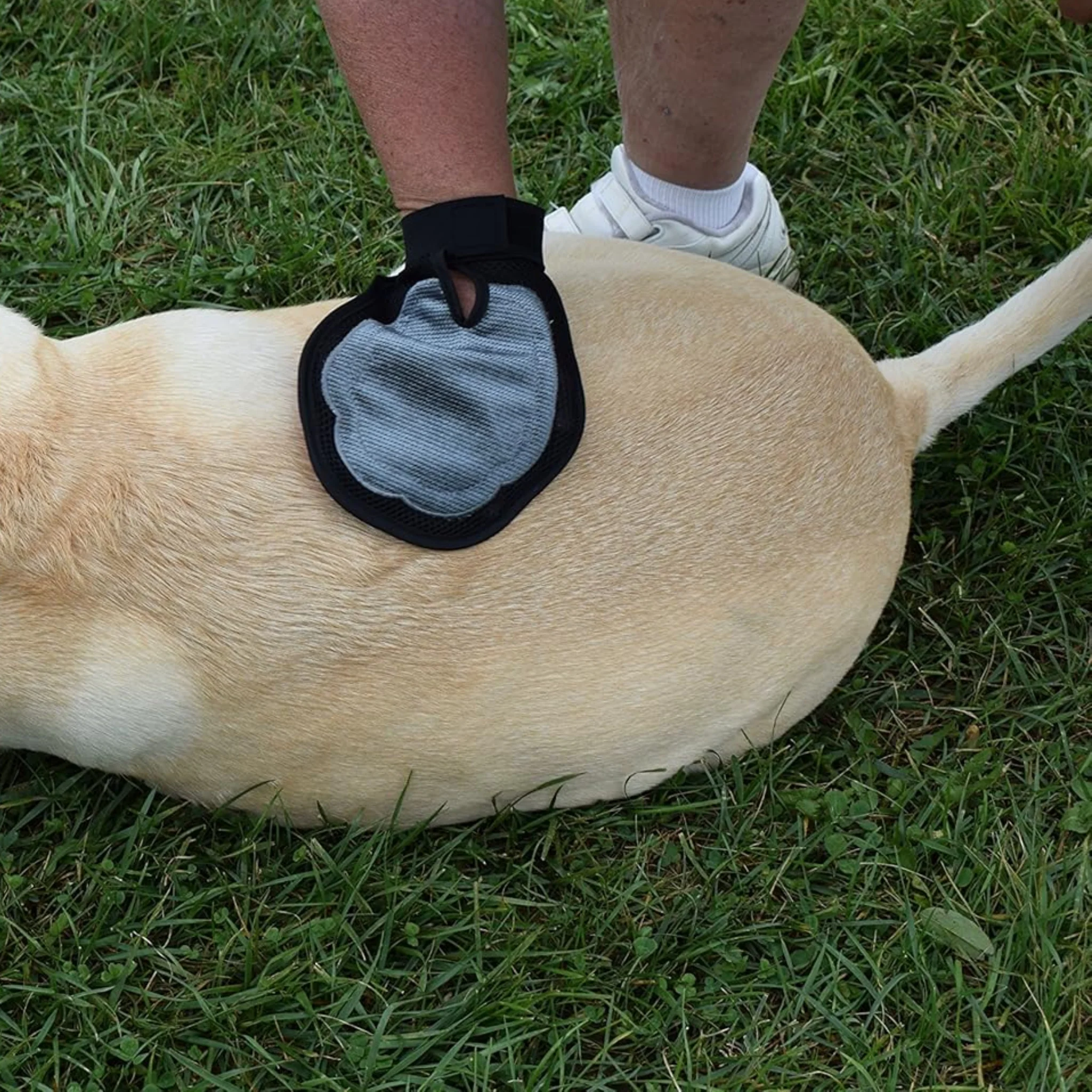 Guante Cepillo Masajeador DELUX para Perros - Image 3
