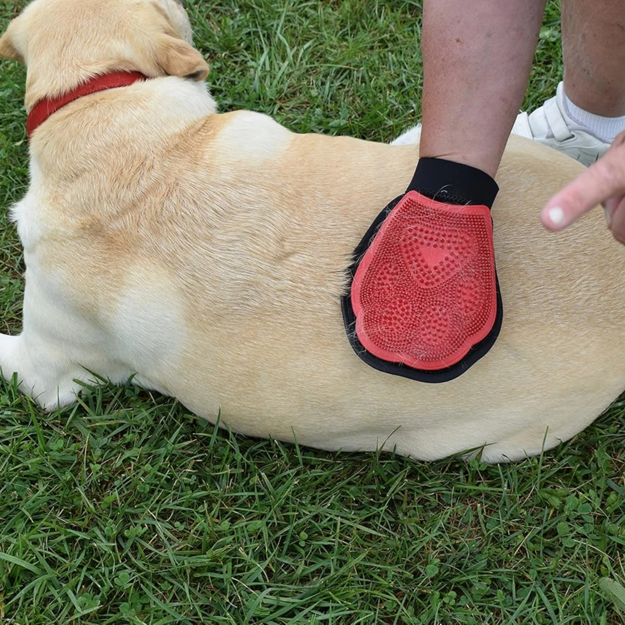 Guante Cepillo Masajeador DELUX para Perros - Image 4