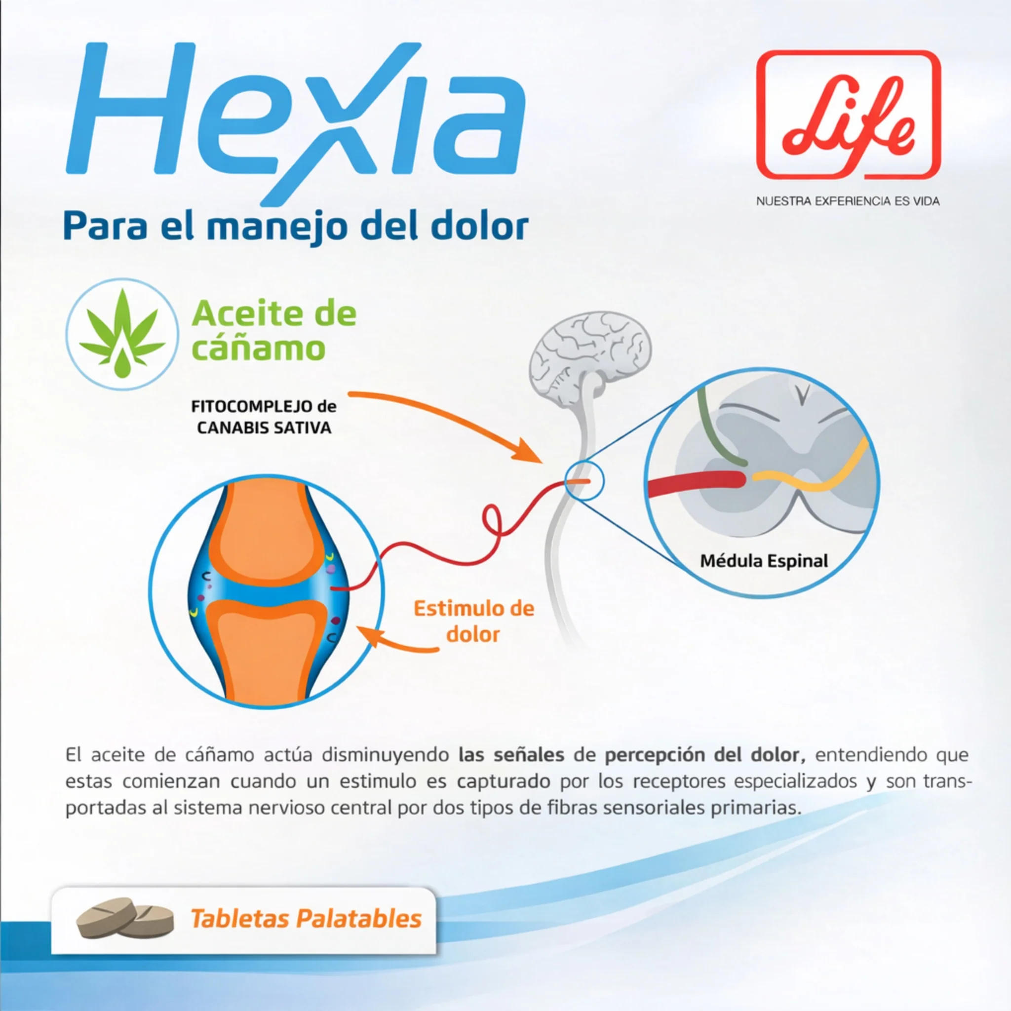 Hexia CBD para Perros y Gatos – Control Natural del Dolor y Antiinflamatorio - Image 2