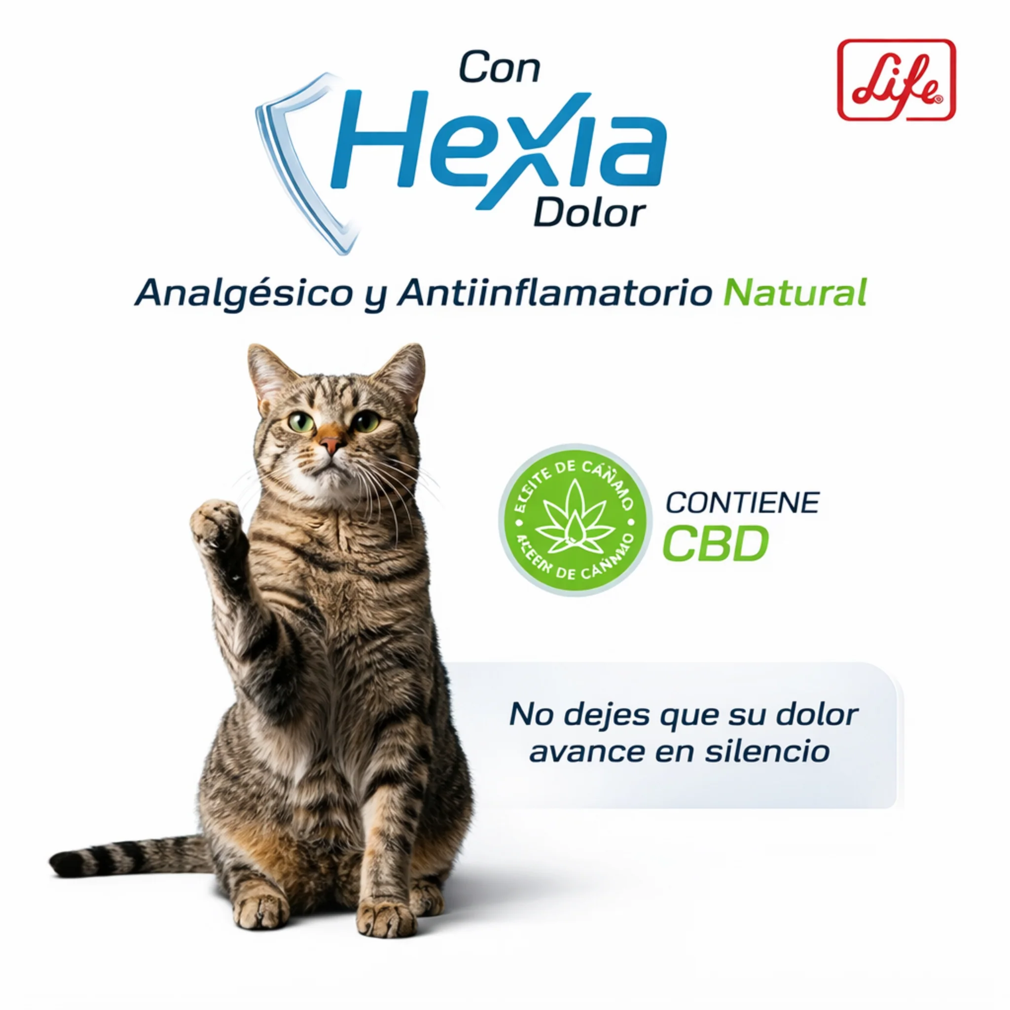 Hexia CBD para Perros y Gatos – Control Natural del Dolor y Antiinflamatorio - Image 3