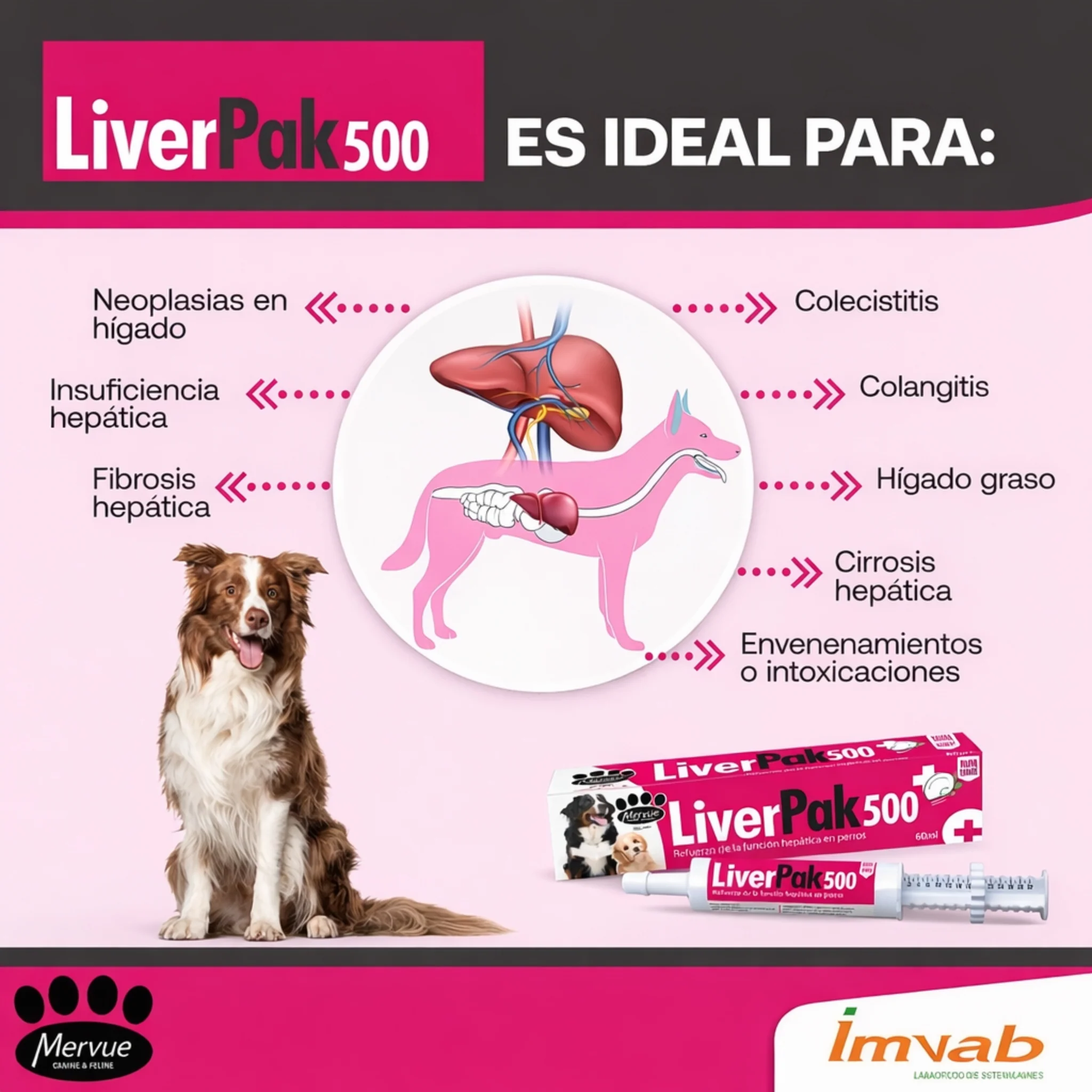 LiverPak 500 – Suplemento Hepático para Perros - Image 2