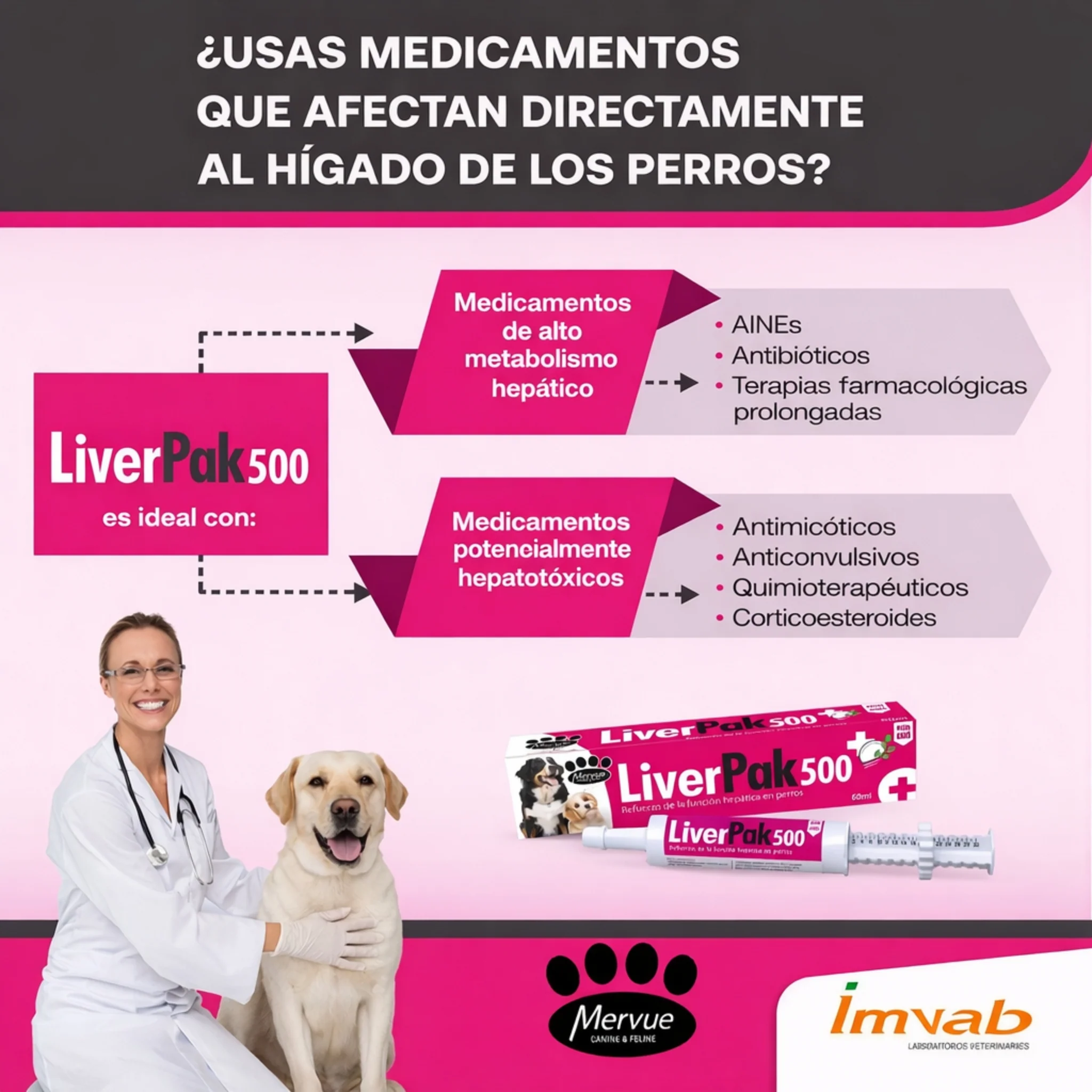 LiverPak 500 – Suplemento Hepático para Perros - Image 3