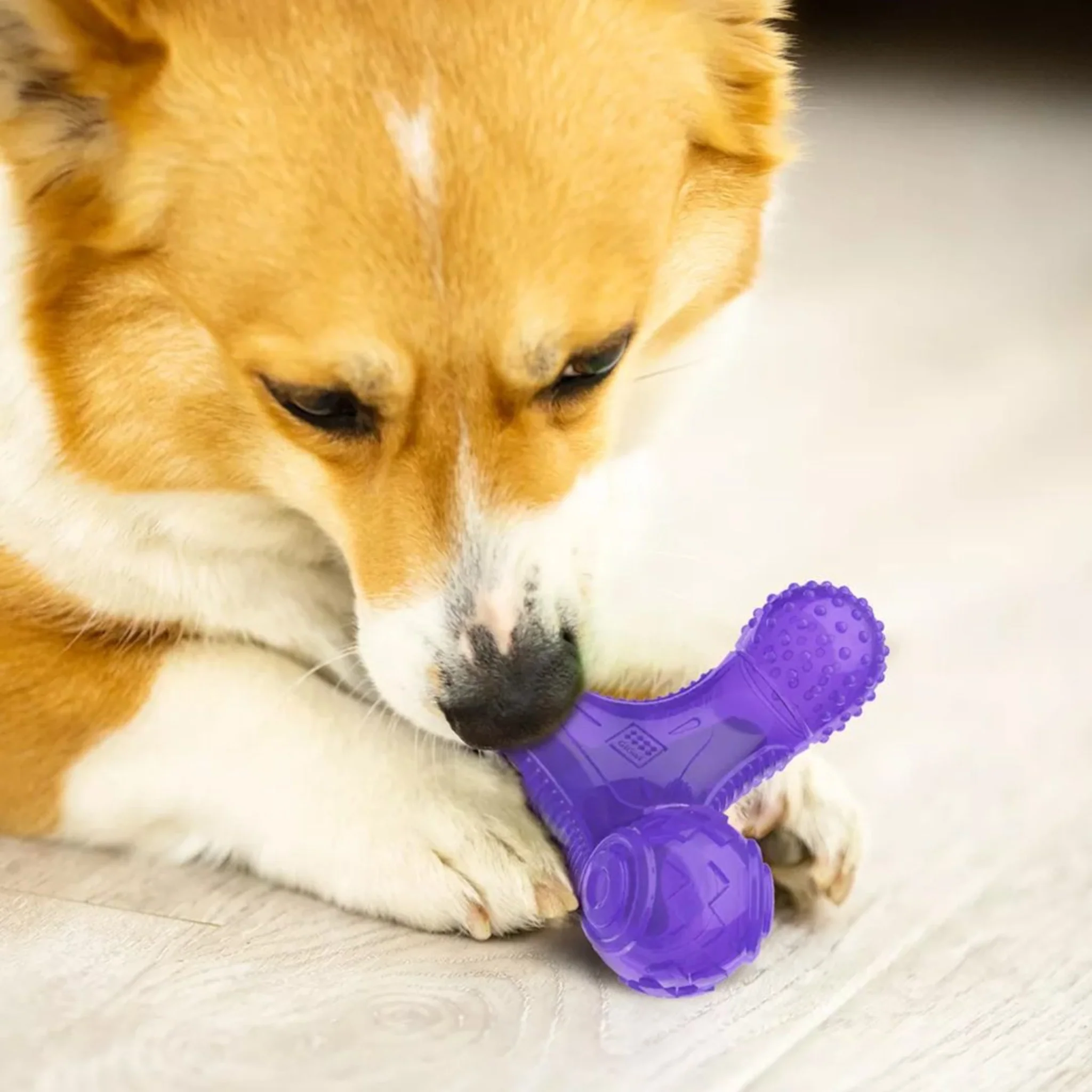 Juguete para perro GIGWI Multi Sounds Bone - Image 3