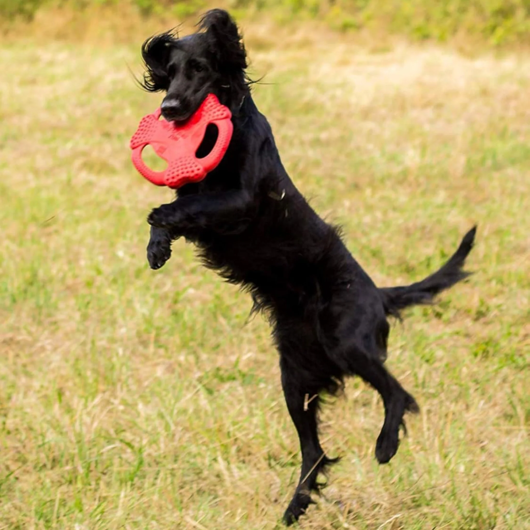 Juguete para perro GIGWI Flying Tug Red - Image 3